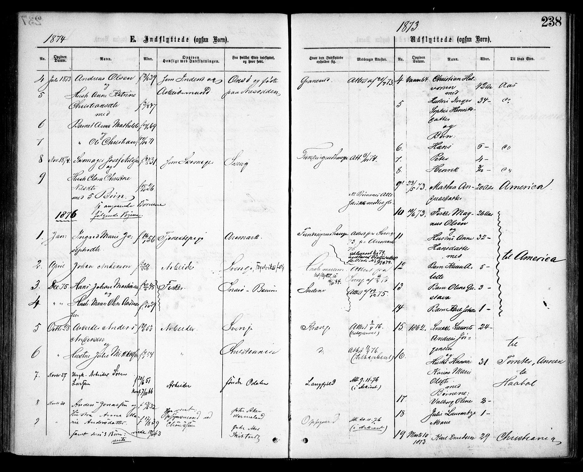 Nesodden prestekontor Kirkebøker, SAO/A-10013/F/Fa/L0008: Parish register (official) no. I 8, 1869-1879, p. 238