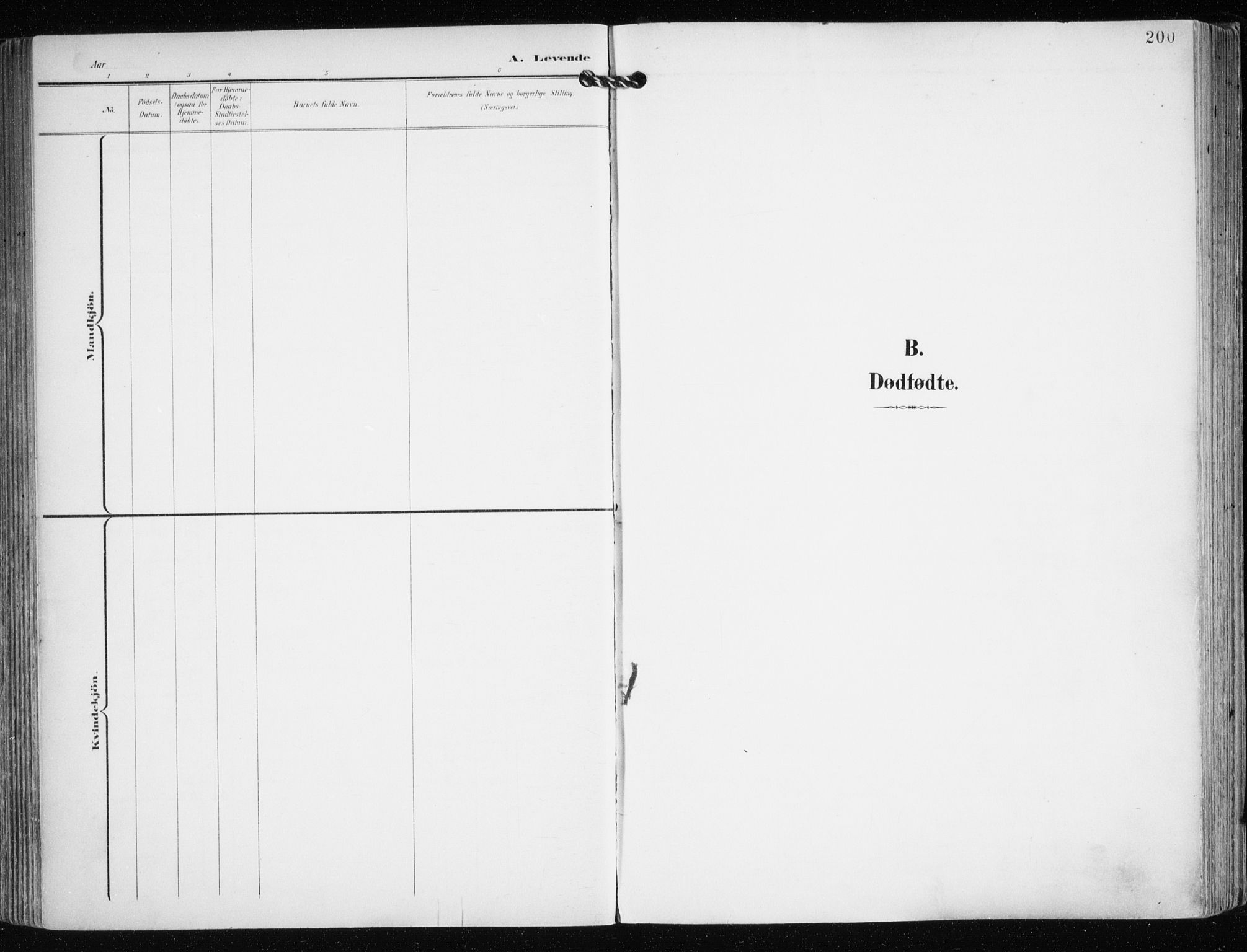 Tromsø sokneprestkontor/stiftsprosti/domprosti, SATØ/S-1343/G/Ga/L0016kirke: Parish register (official) no. 16, 1899-1906, p. 200