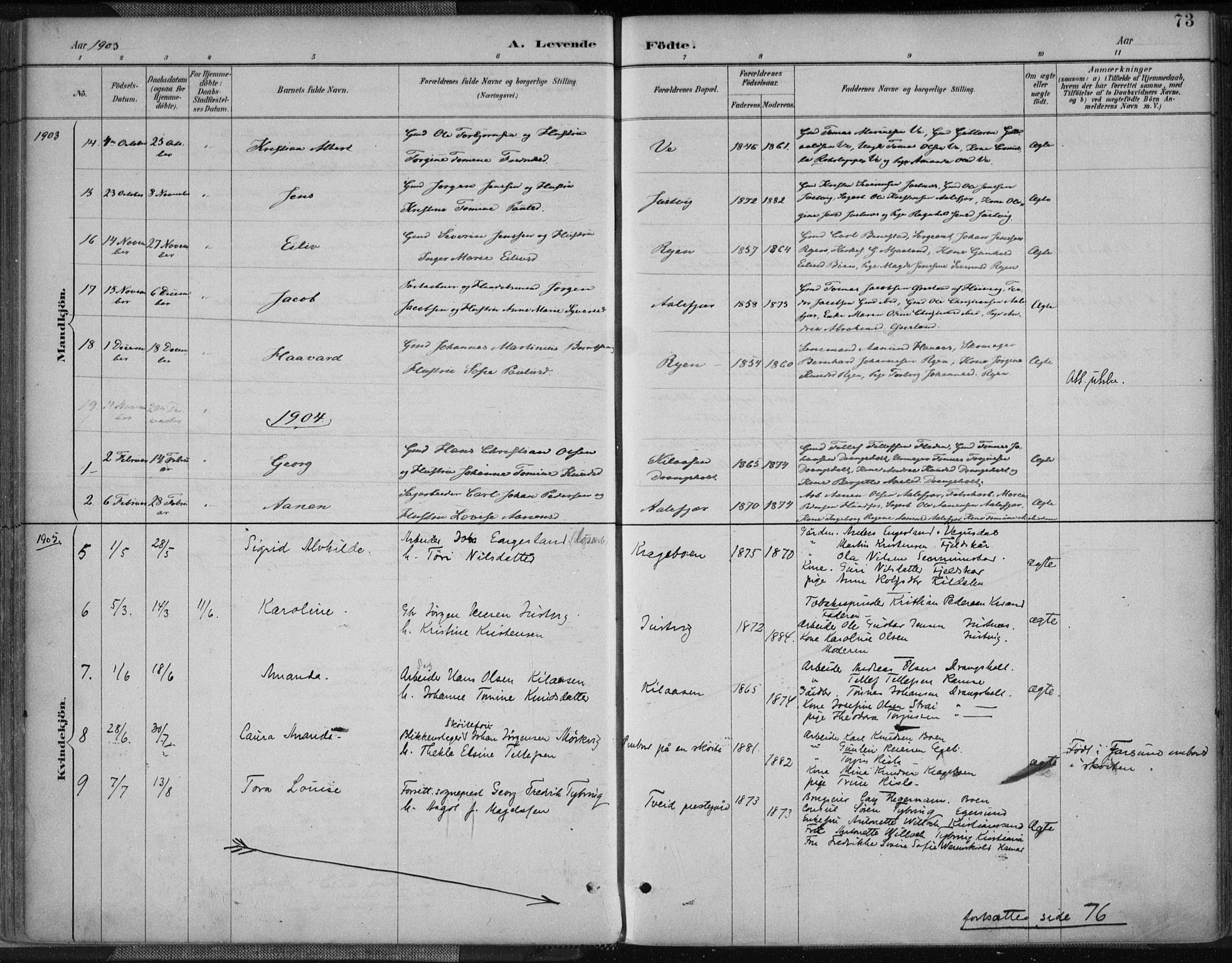 Tveit sokneprestkontor, AV/SAK-1111-0043/F/Fa/L0007: Parish register (official) no. A 7, 1887-1908, p. 73