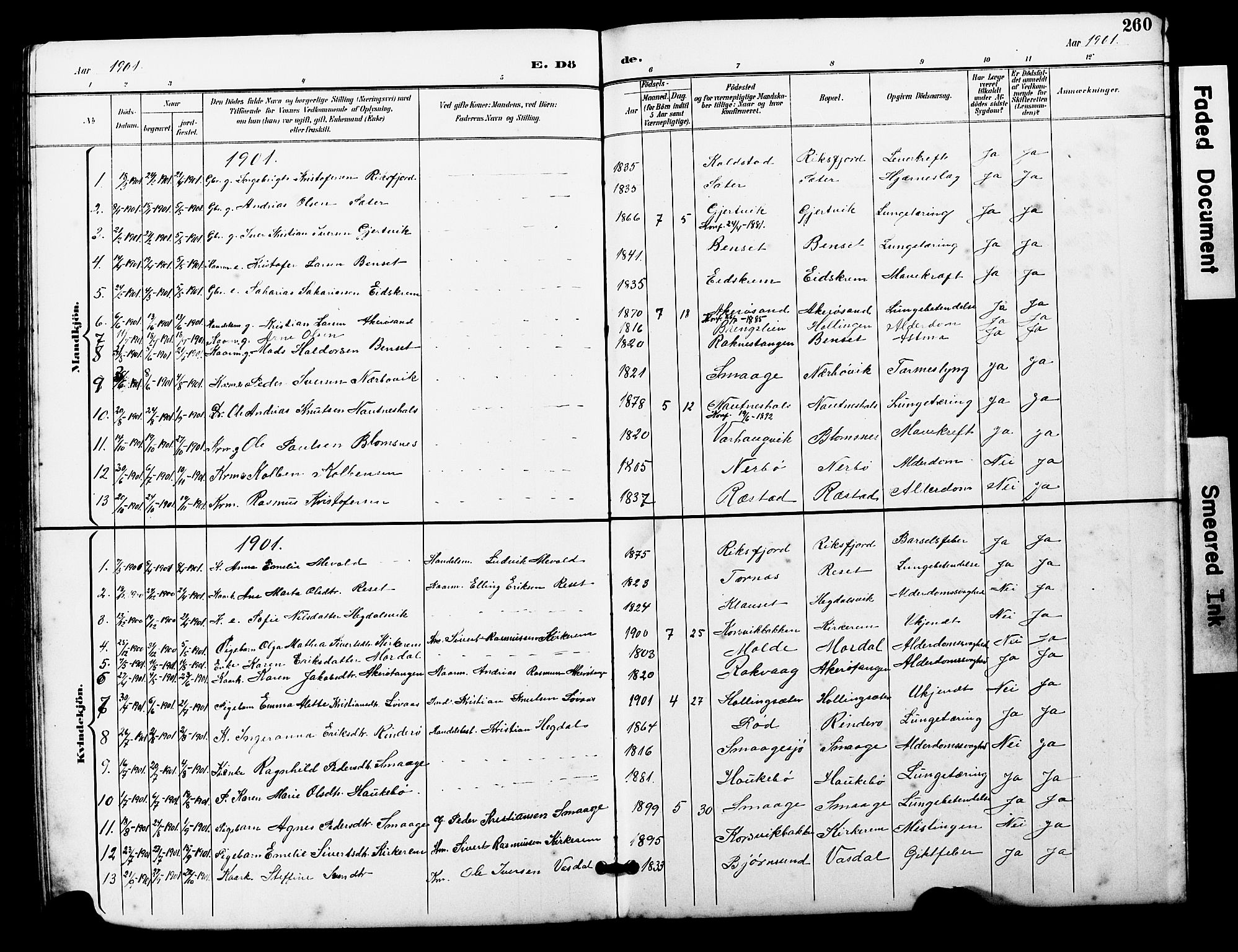 Ministerialprotokoller, klokkerbøker og fødselsregistre - Møre og Romsdal, SAT/A-1454/560/L0725: Parish register (copy) no. 560C02, 1895-1930, p. 260