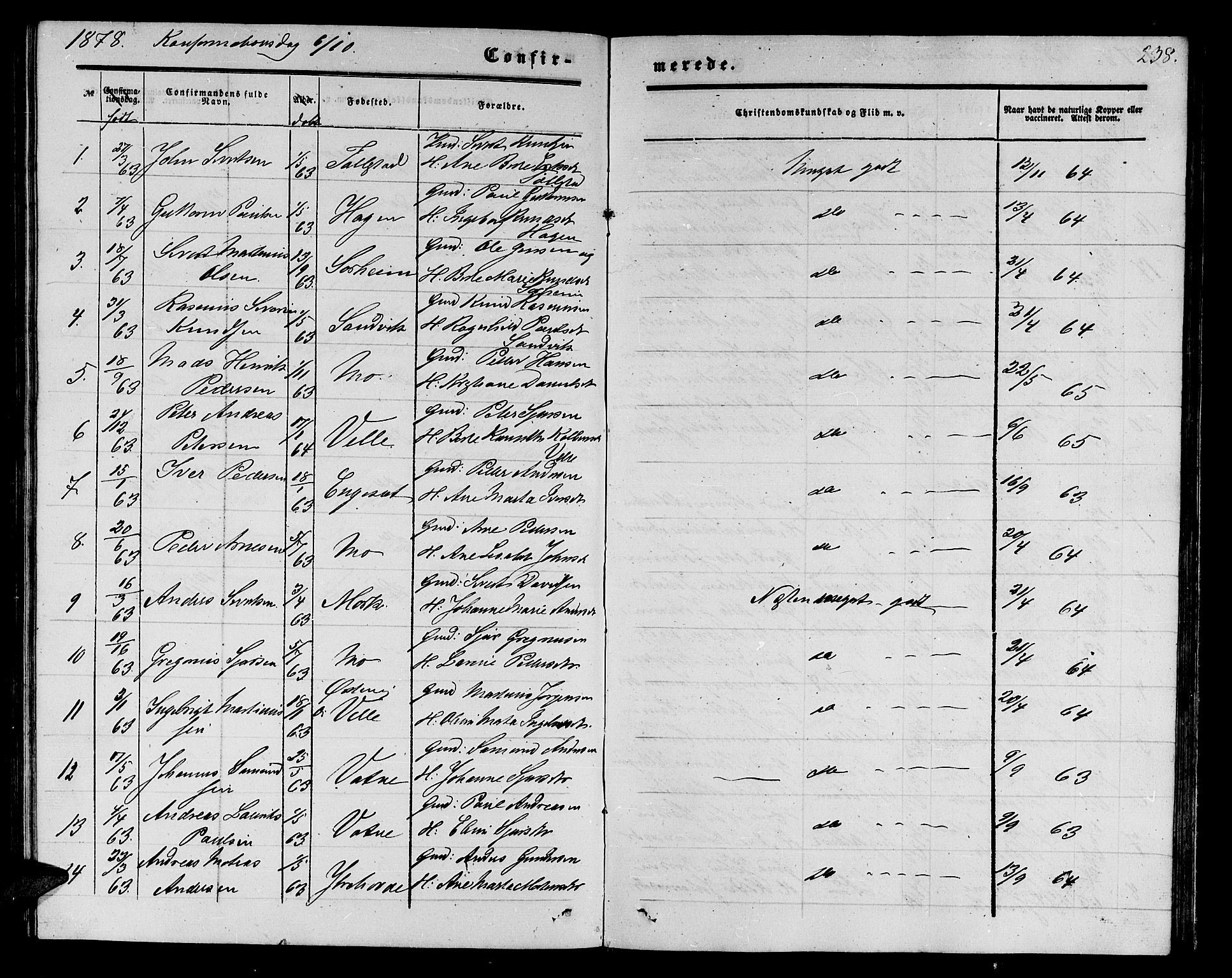 Ministerialprotokoller, klokkerbøker og fødselsregistre - Møre og Romsdal, AV/SAT-A-1454/513/L0188: Parish register (copy) no. 513C02, 1865-1882, p. 238