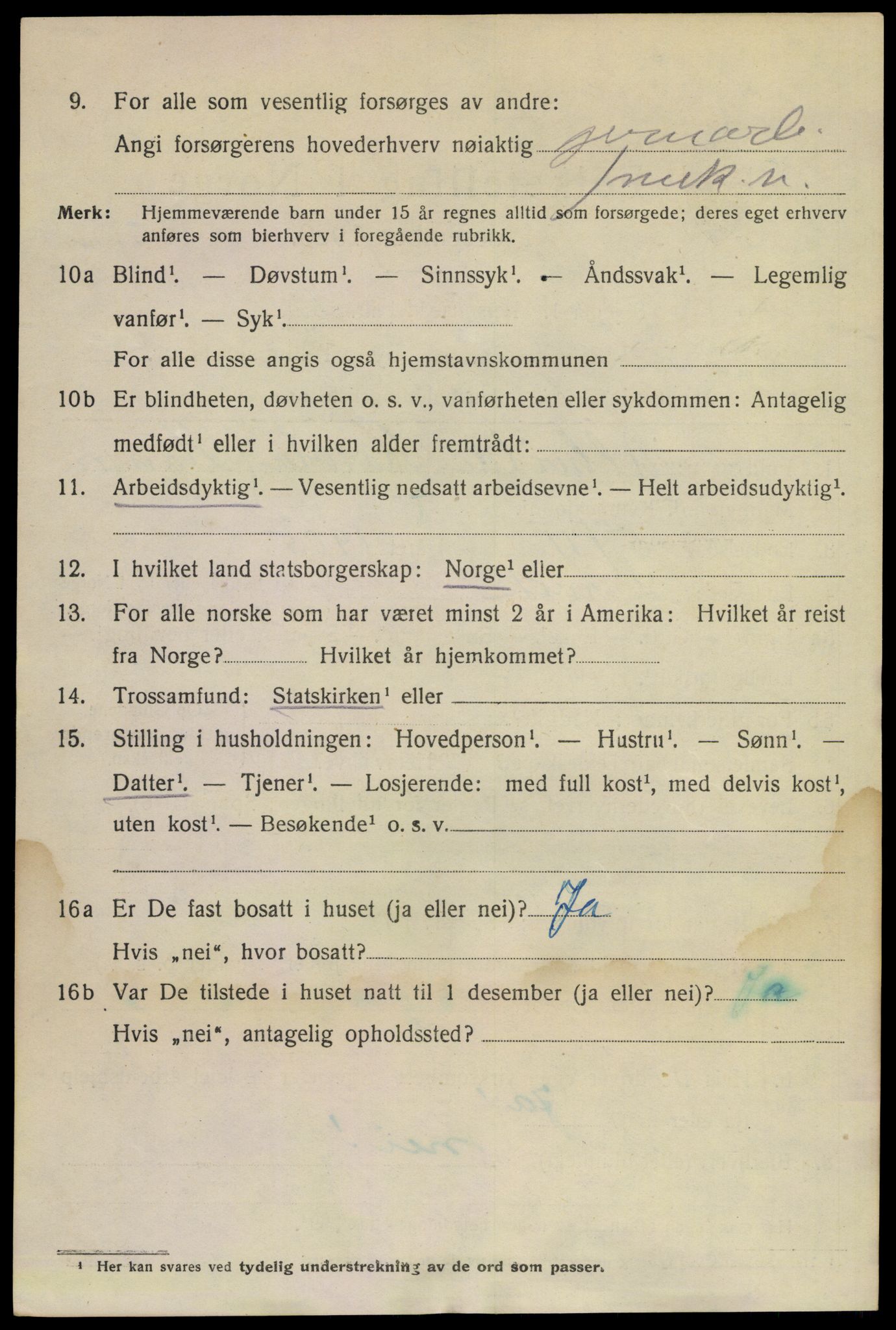 SAKO, 1920 census for Larvik, 1920, p. 20685