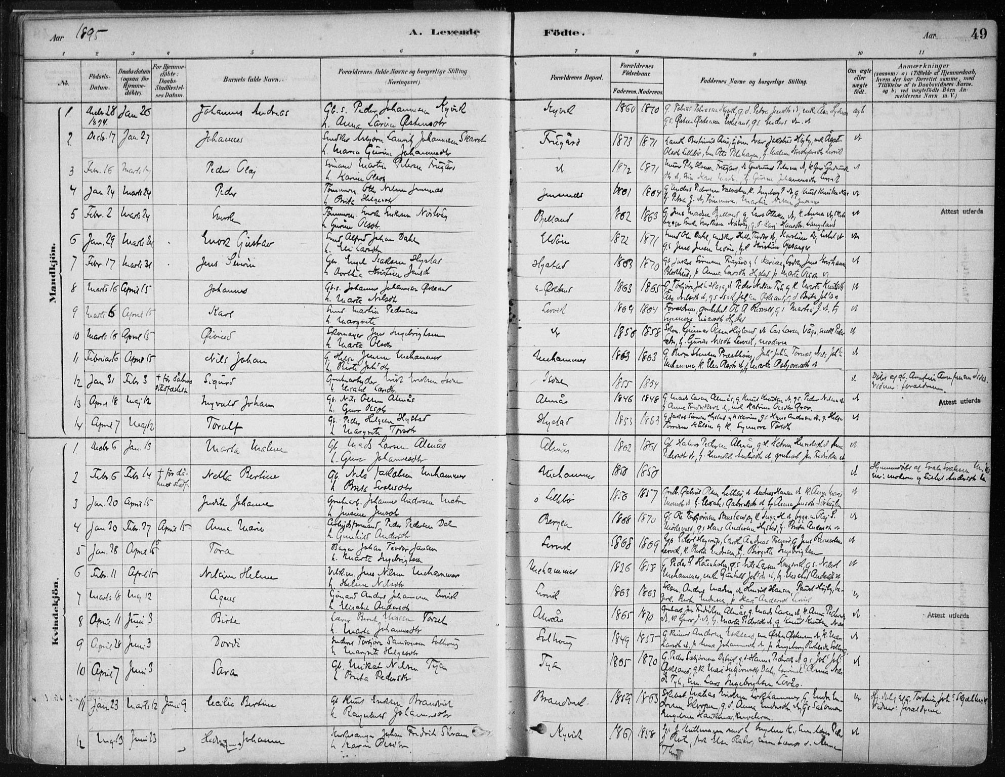Stord sokneprestembete, SAB/A-78201/H/Haa: Parish register (official) no. B 2, 1878-1913, p. 49