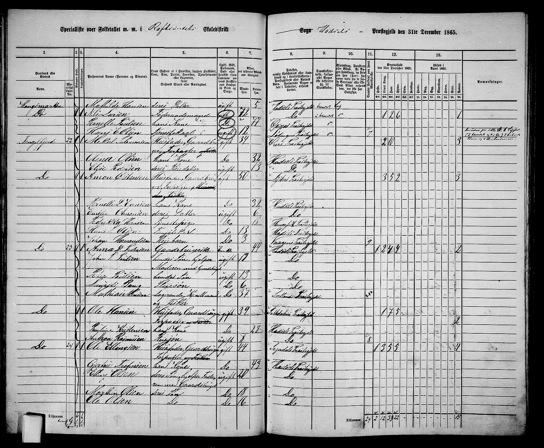 RA, 1865 census for Hadsel, 1865, p. 46