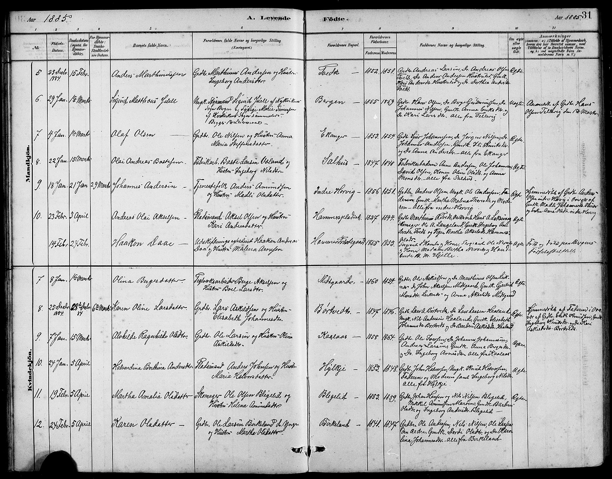 Hamre sokneprestembete, AV/SAB-A-75501/H/Ha/Hab: Parish register (copy) no. B 3, 1881-1898, p. 31