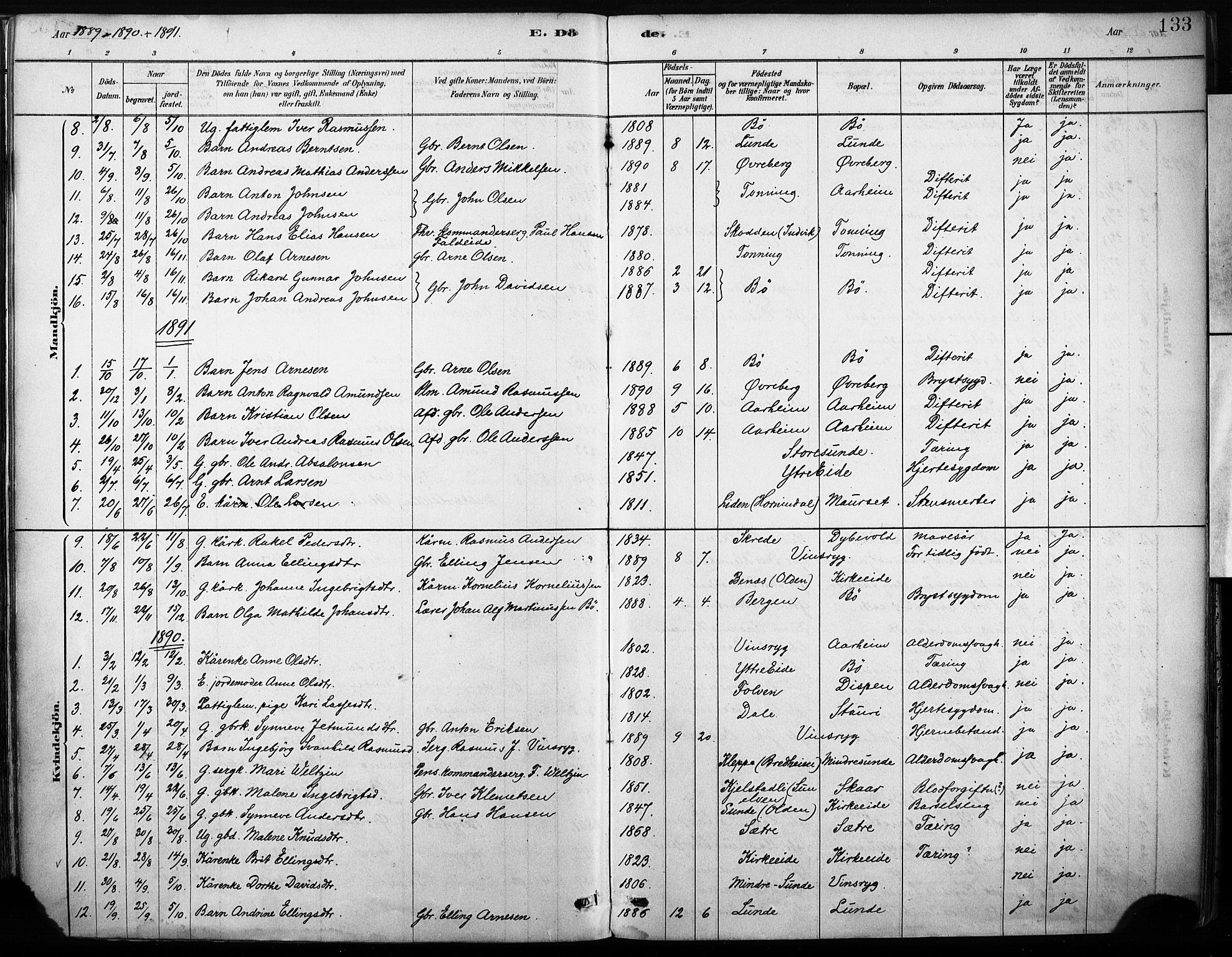 Stryn Sokneprestembete, AV/SAB-A-82501: Parish register (official) no. B 1, 1878-1907, p. 133