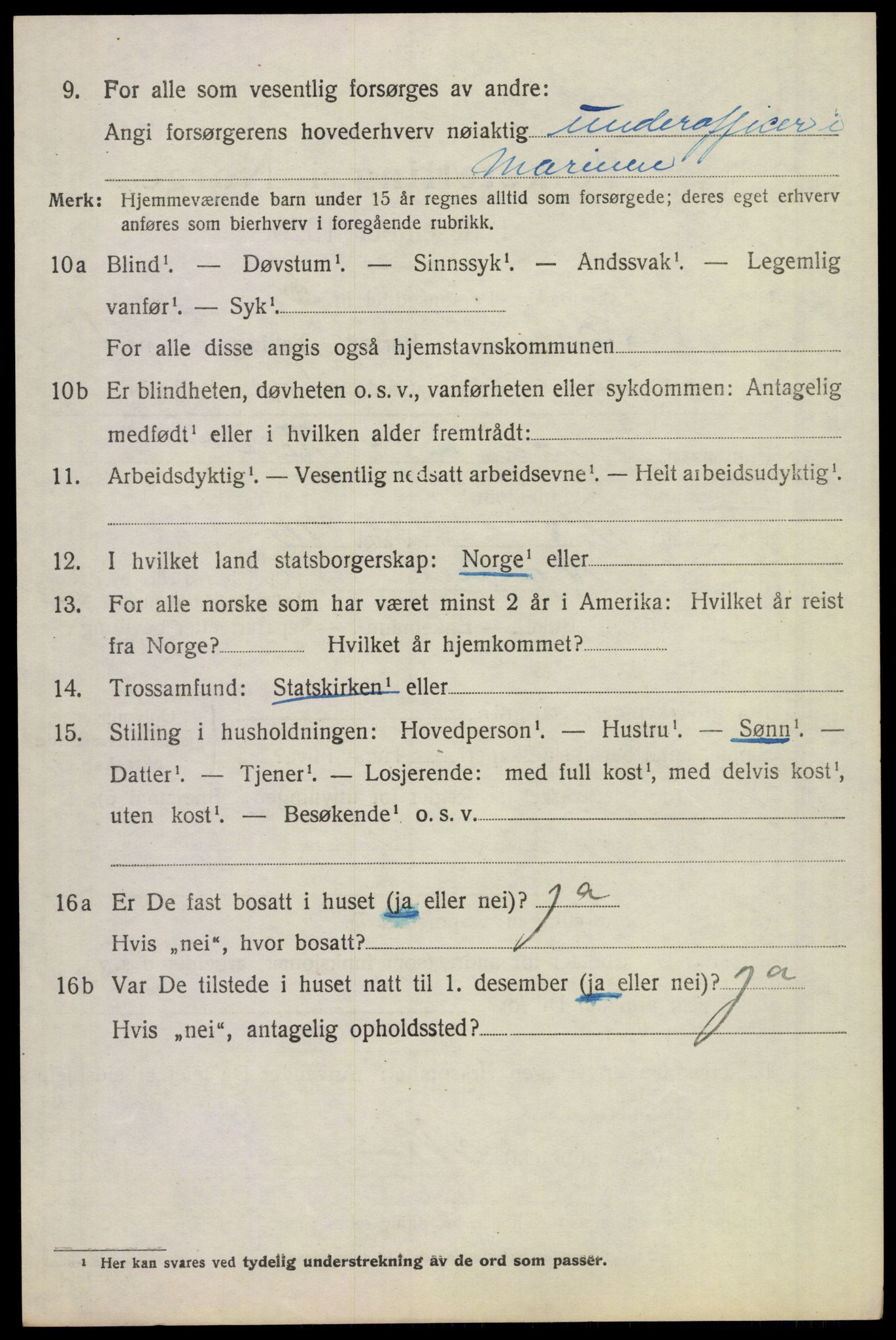 SAKO, 1920 census for Borre, 1920, p. 1407