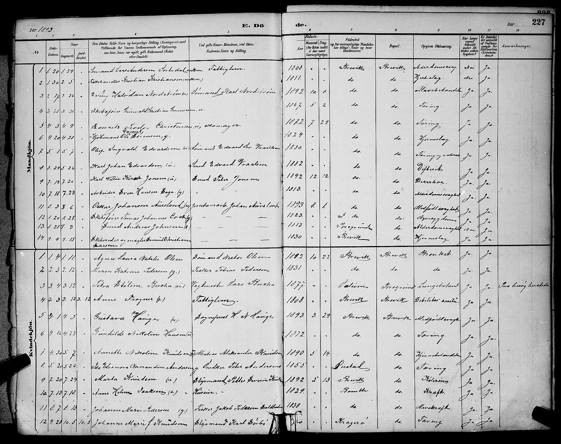 Brevik kirkebøker, AV/SAKO-A-255/G/Ga/L0004: Parish register (copy) no. 4, 1882-1900, p. 227