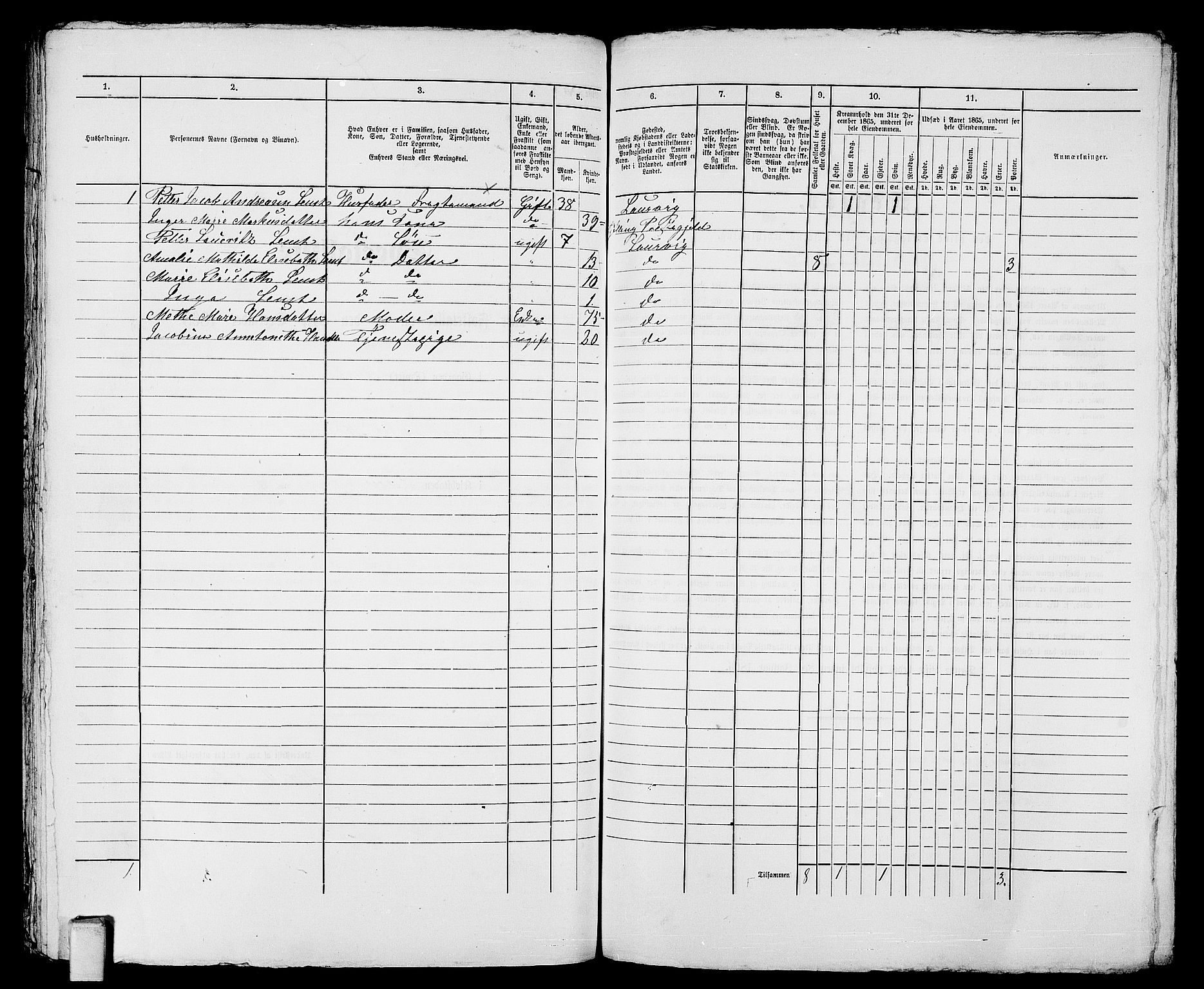 RA, 1865 census for Larvik, 1865, p. 1014