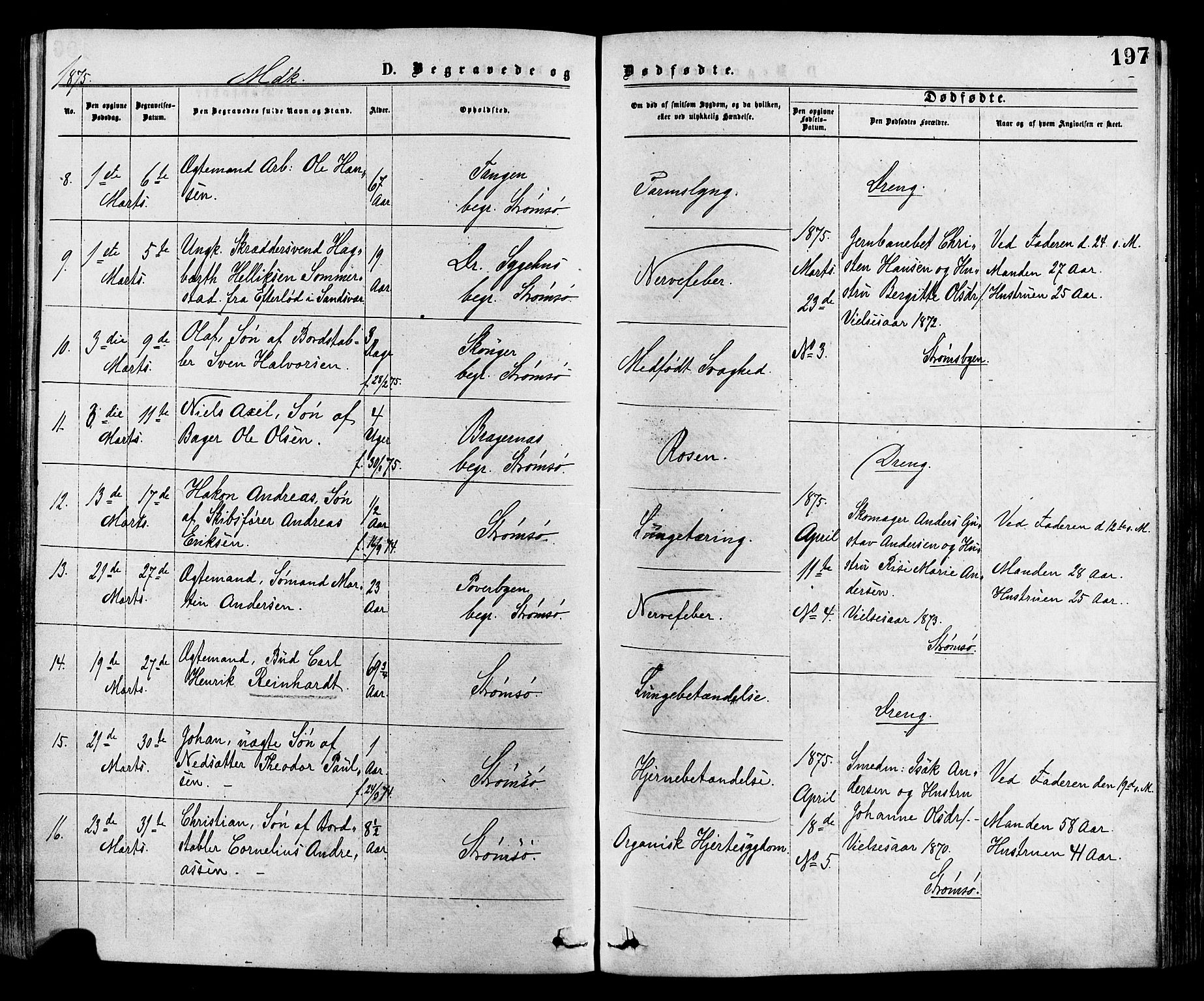 Strømsø kirkebøker, AV/SAKO-A-246/F/Fa/L0019: Parish register (official) no. I 19, 1874-1877, p. 197