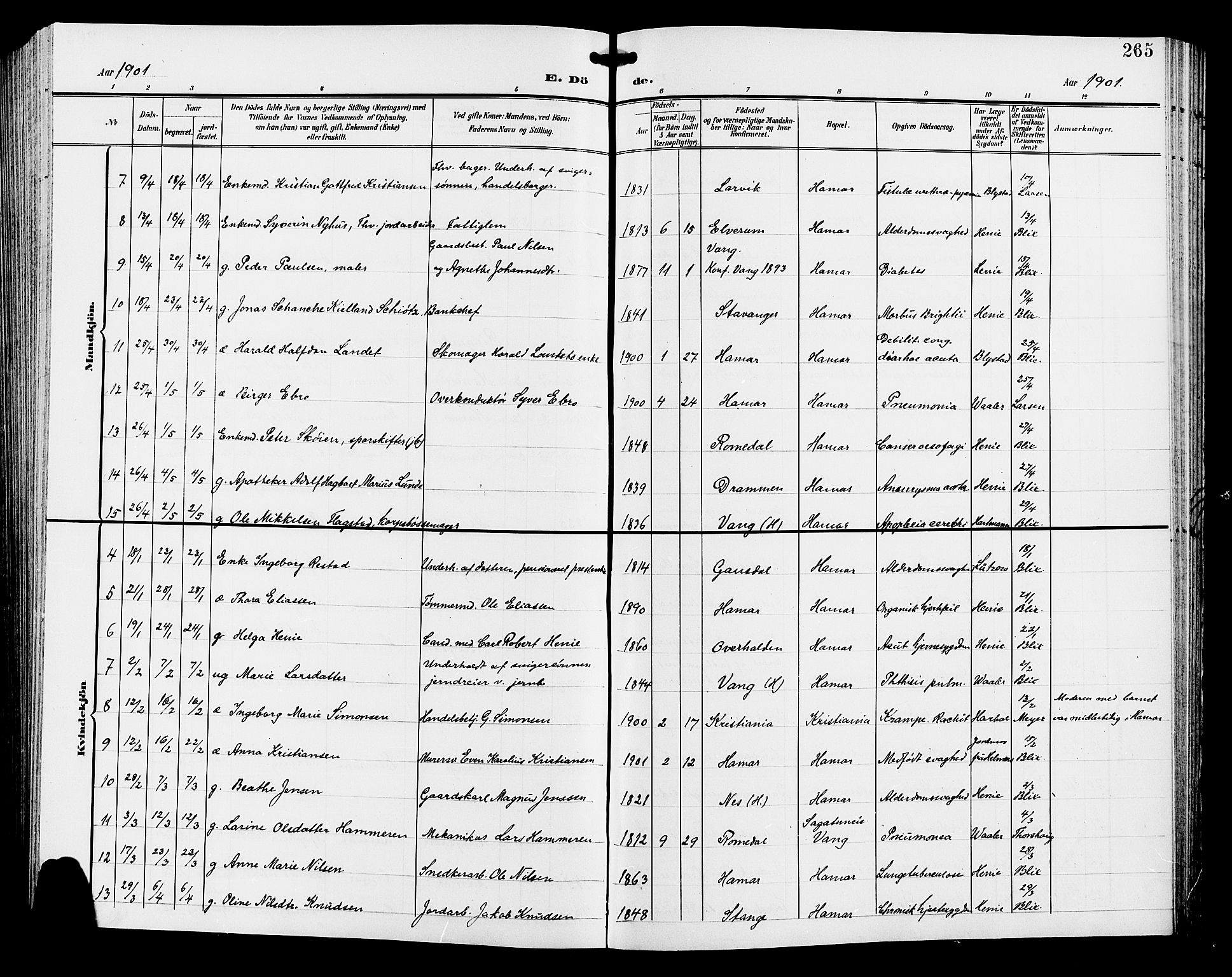 Hamar prestekontor, SAH/DOMPH-002/H/Ha/Hab/L0001: Parish register (copy) no. 1, 1899-1914, p. 265