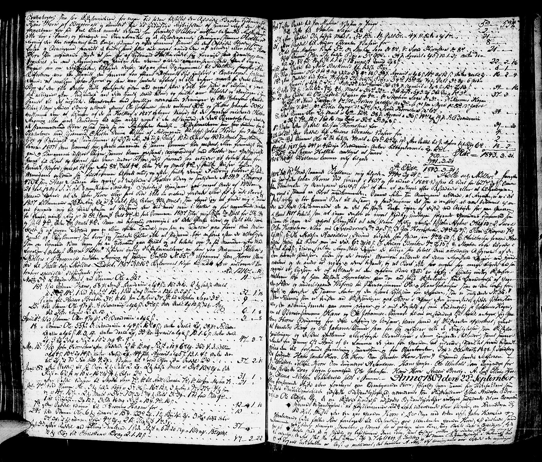 Lier, Røyken og Hurum sorenskriveri, AV/SAKO-A-89/H/Hc/L0009: Skifteprotokoll, 1805-1813, p. 533b-534a