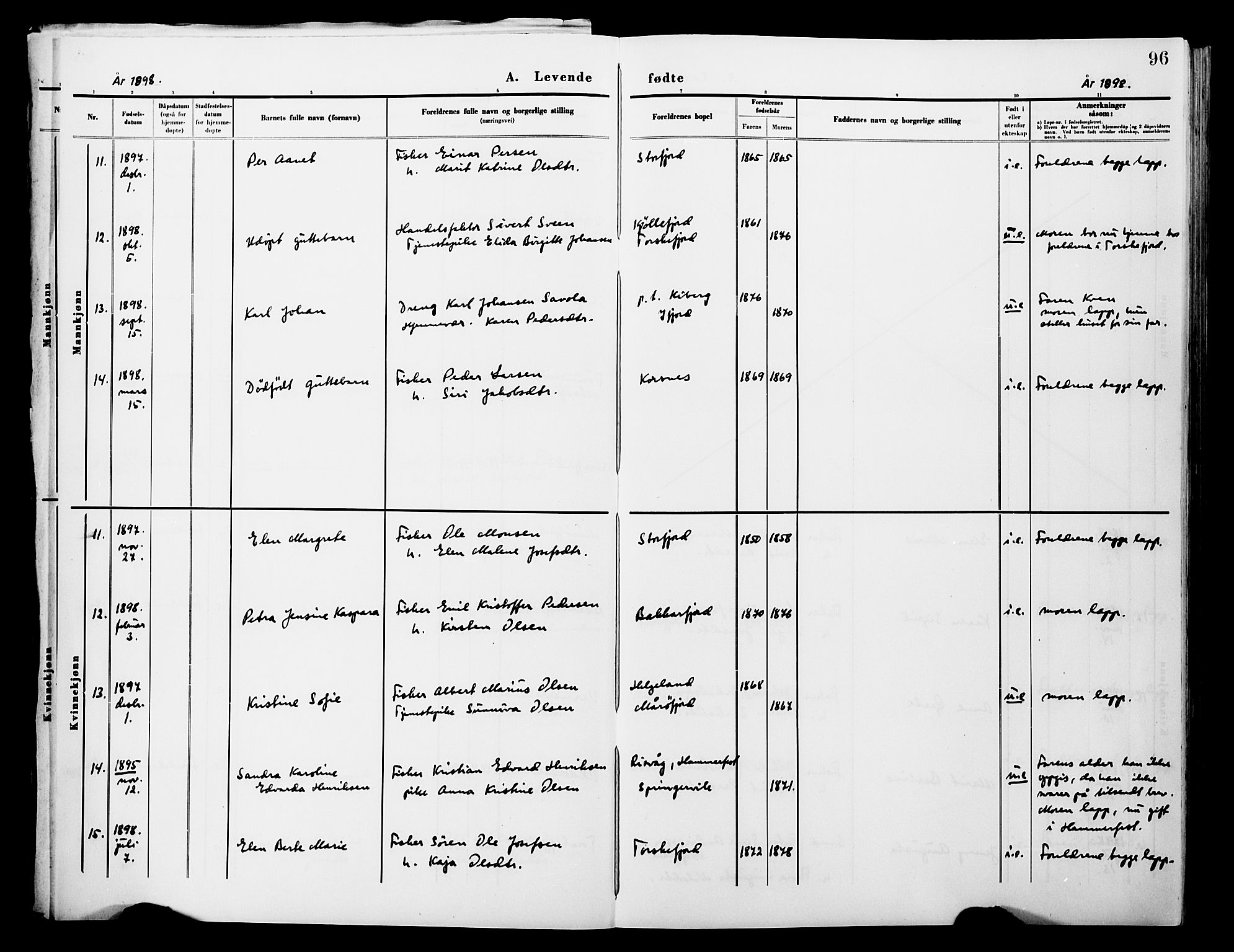 Lebesby sokneprestkontor, AV/SATØ-S-1353/H/Ha/L0004kirke: Parish register (official) no. 4, 1870-1902, p. 96