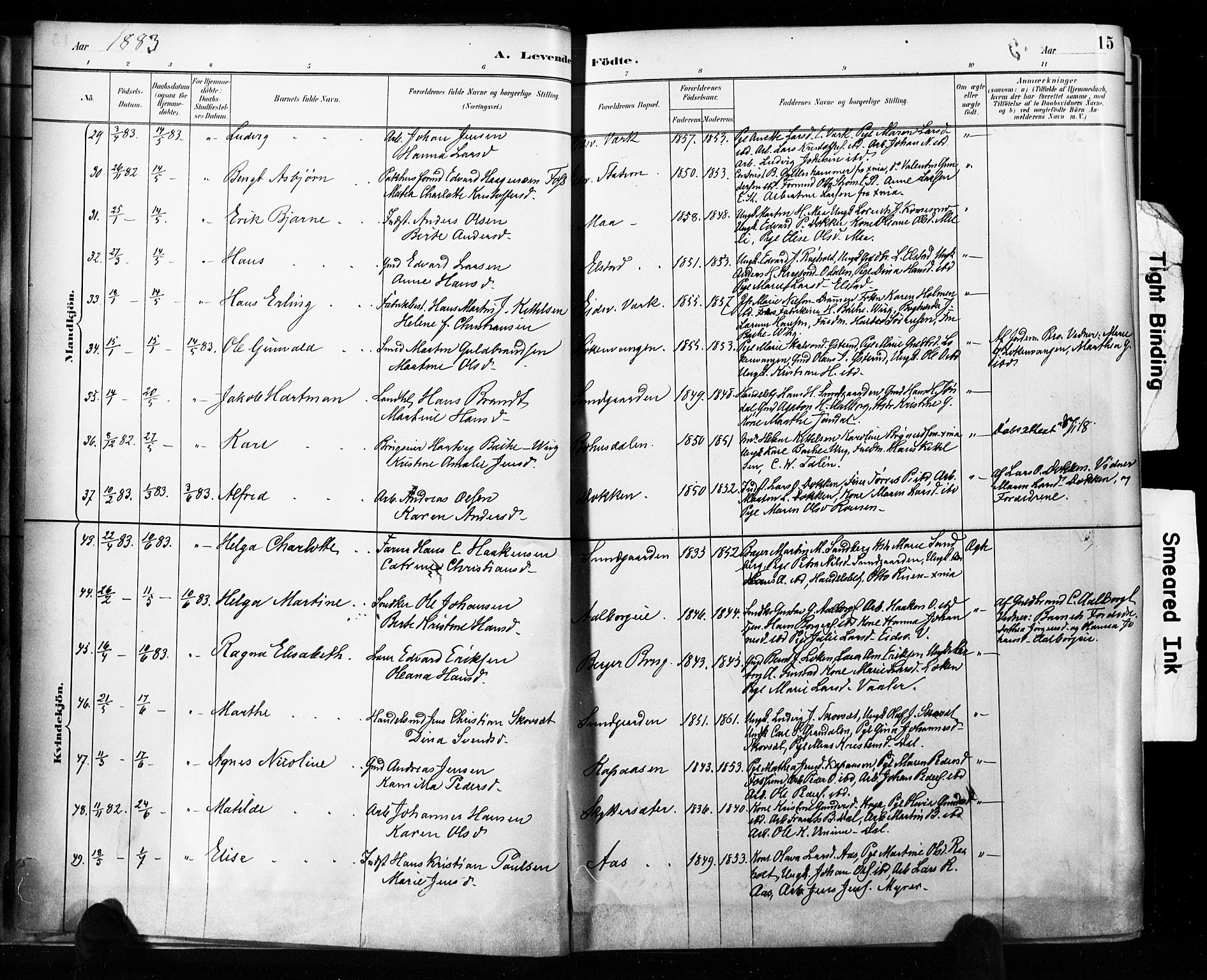 Eidsvoll prestekontor Kirkebøker, AV/SAO-A-10888/F/Fa/L0002: Parish register (official) no. I 2, 1882-1895, p. 15