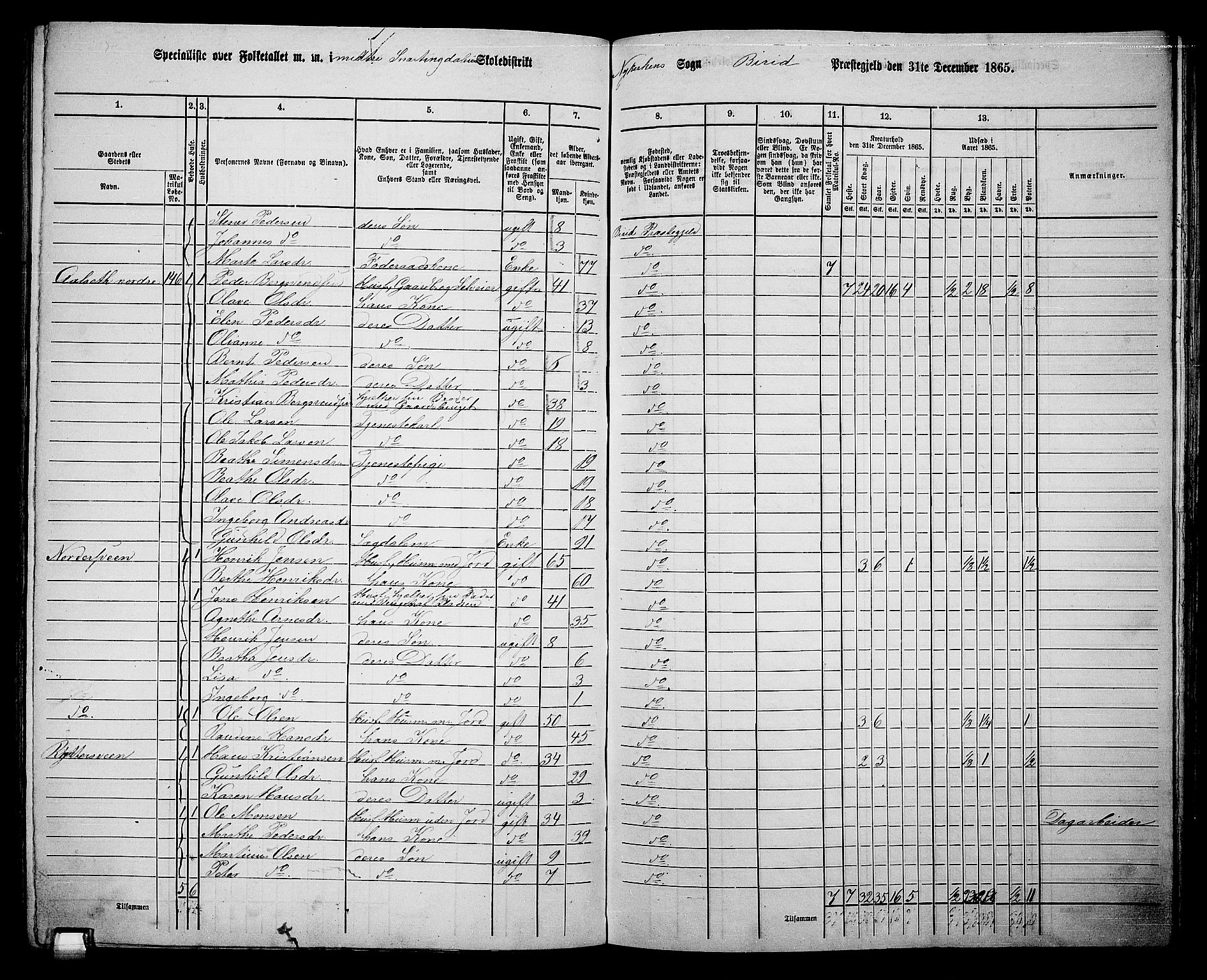 RA, 1865 census for Biri, 1865, p. 142