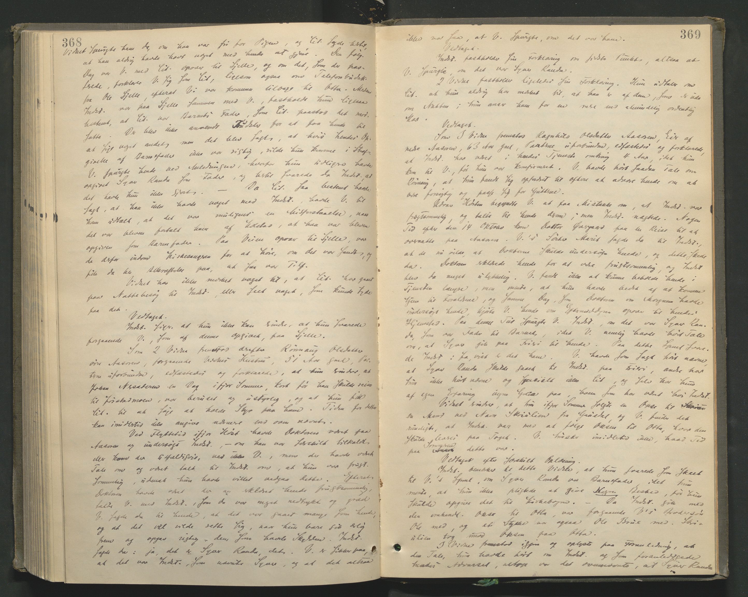 Nord-Gudbrandsdal tingrett, SAH/TING-002/G/Gc/Gcb/L0005: Ekstrarettsprotokoll for åstedssaker, 1889-1900, p. 368-369