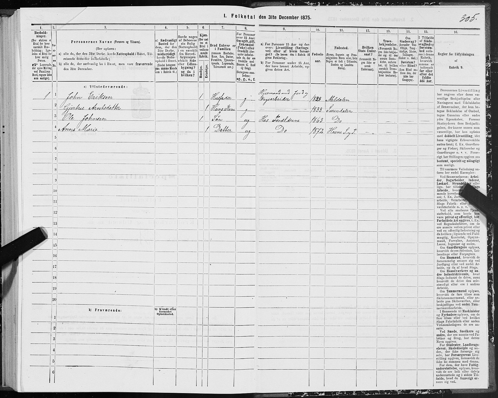 SAT, 1875 census for 1612P Hemne, 1875, p. 4305