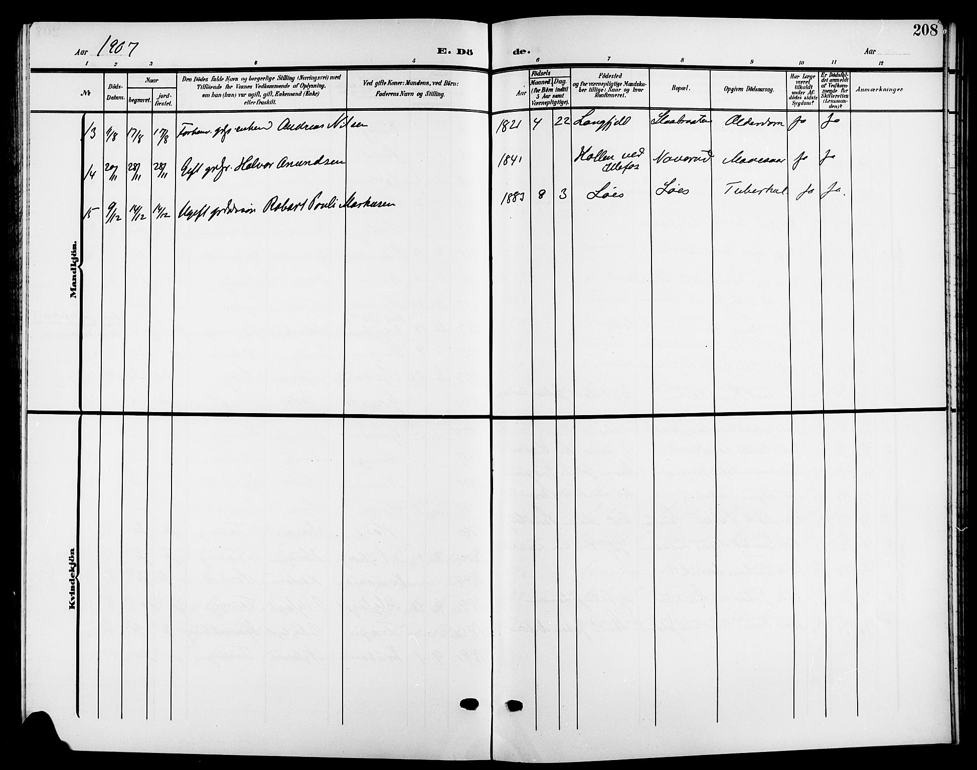 Nesodden prestekontor Kirkebøker, AV/SAO-A-10013/G/Ga/L0002: Parish register (copy) no. I 2, 1905-1924, p. 208