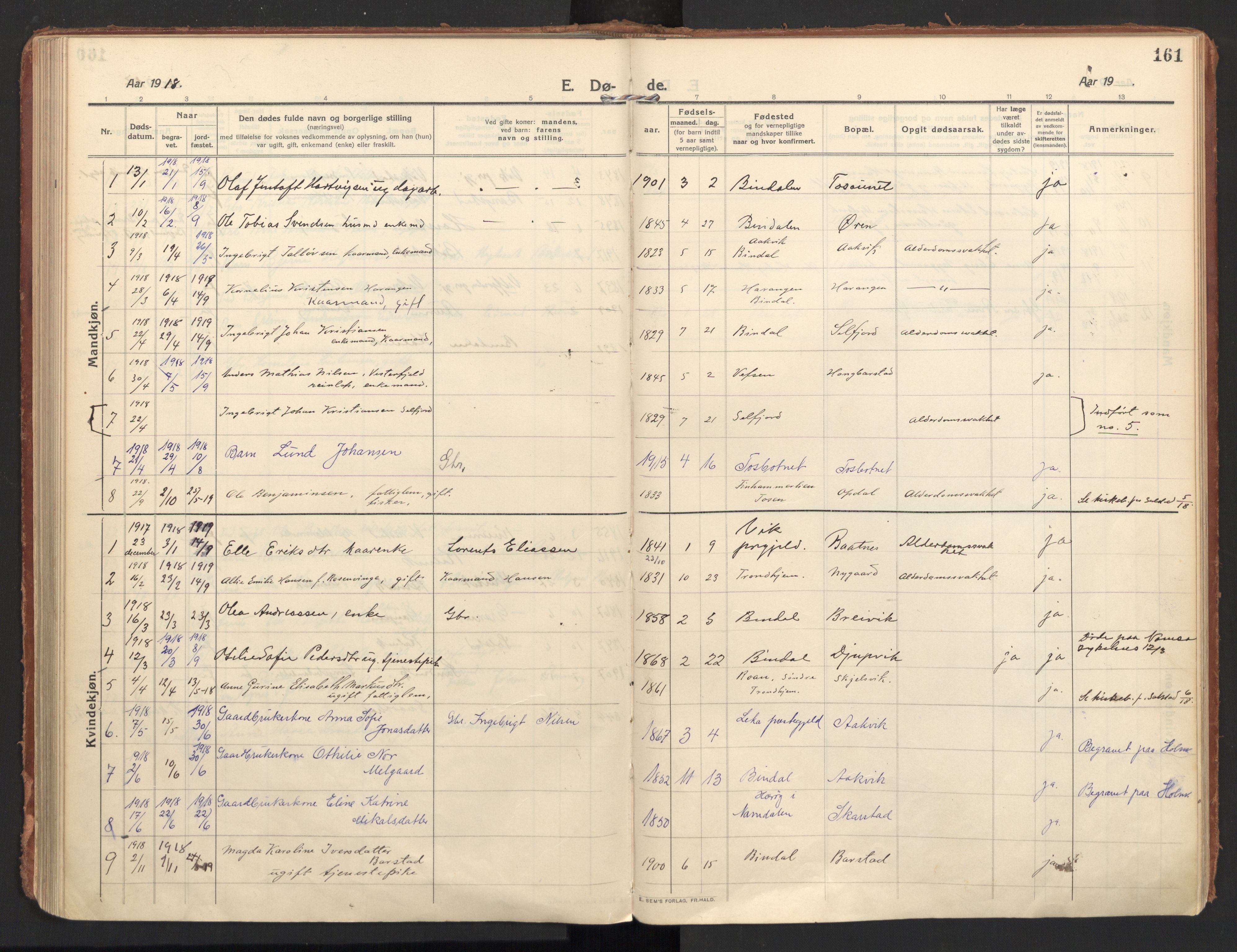 Ministerialprotokoller, klokkerbøker og fødselsregistre - Nordland, SAT/A-1459/810/L0156: Parish register (official) no. 810A15, 1915-1930, p. 161