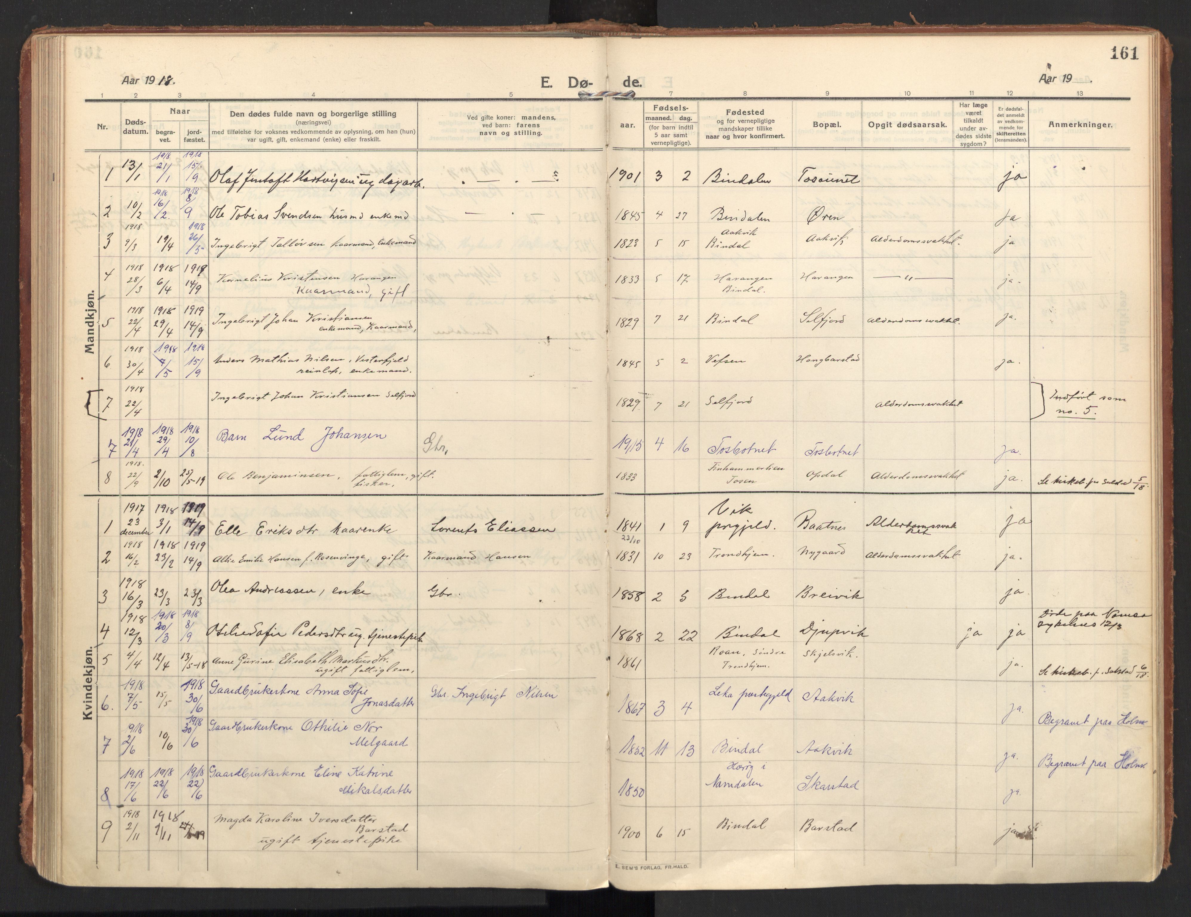 Ministerialprotokoller, klokkerbøker og fødselsregistre - Nordland, AV/SAT-A-1459/810/L0156: Parish register (official) no. 810A15, 1915-1930, p. 161