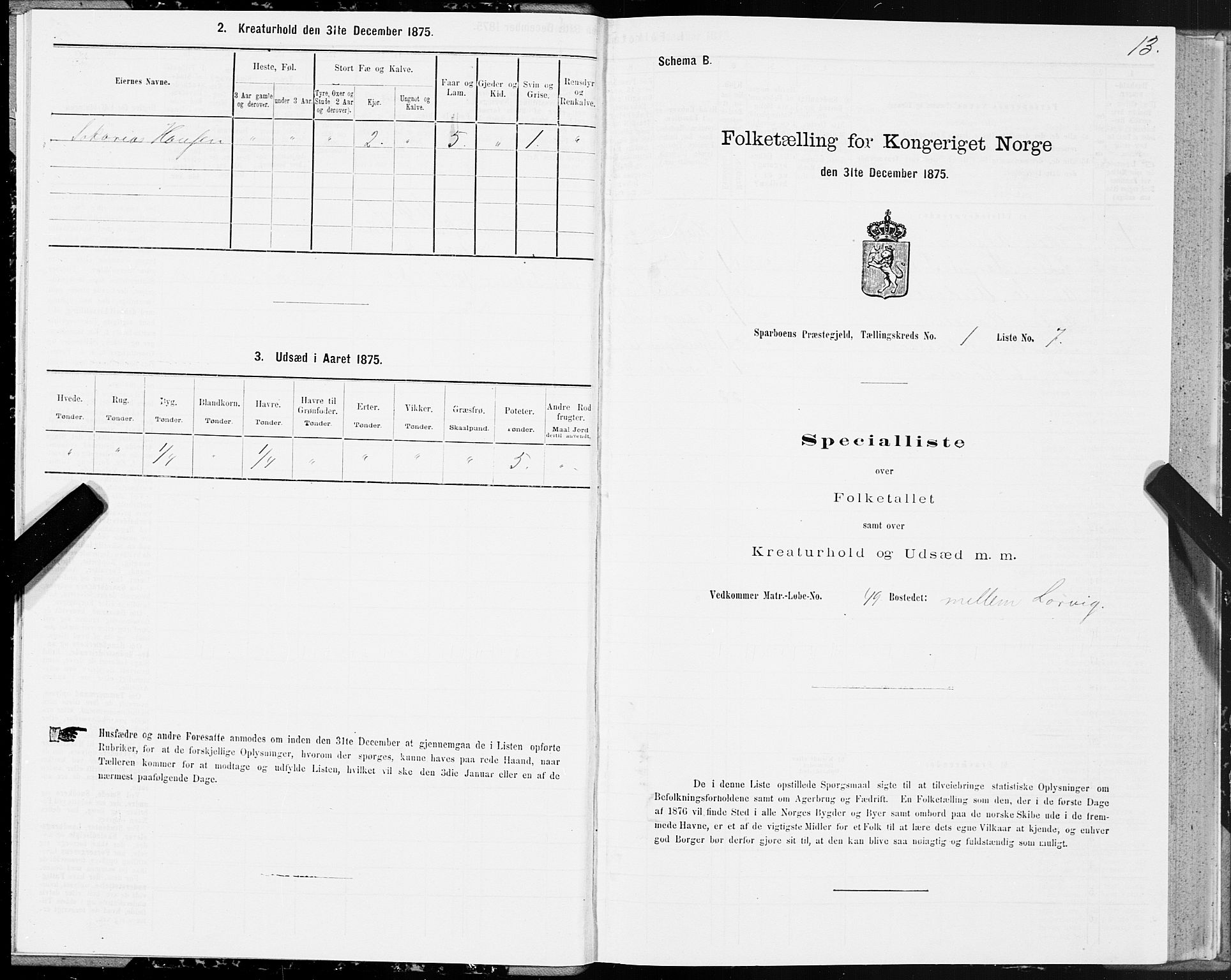 SAT, 1875 census for 1731P Sparbu, 1875, p. 1013