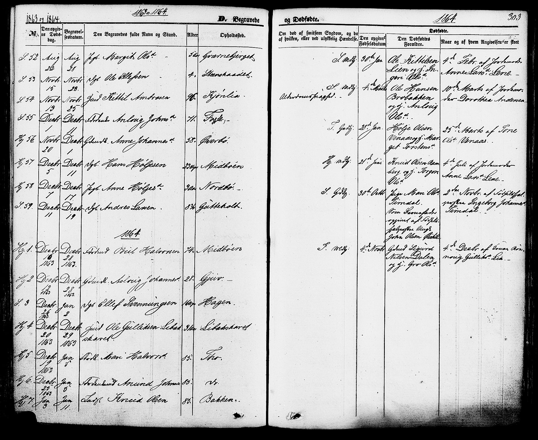 Hjartdal kirkebøker, SAKO/A-270/F/Fa/L0009: Parish register (official) no. I 9, 1860-1879, p. 303