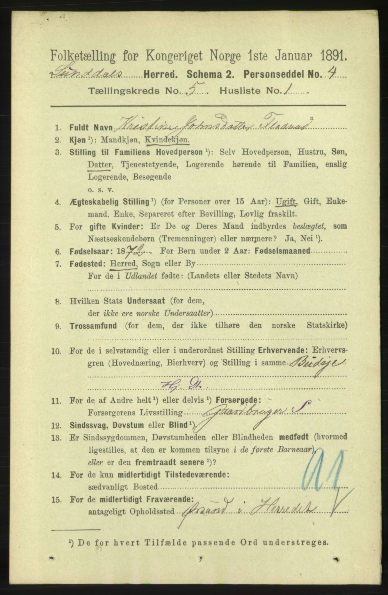 RA, 1891 census for 1563 Sunndal, 1891, p. 1243