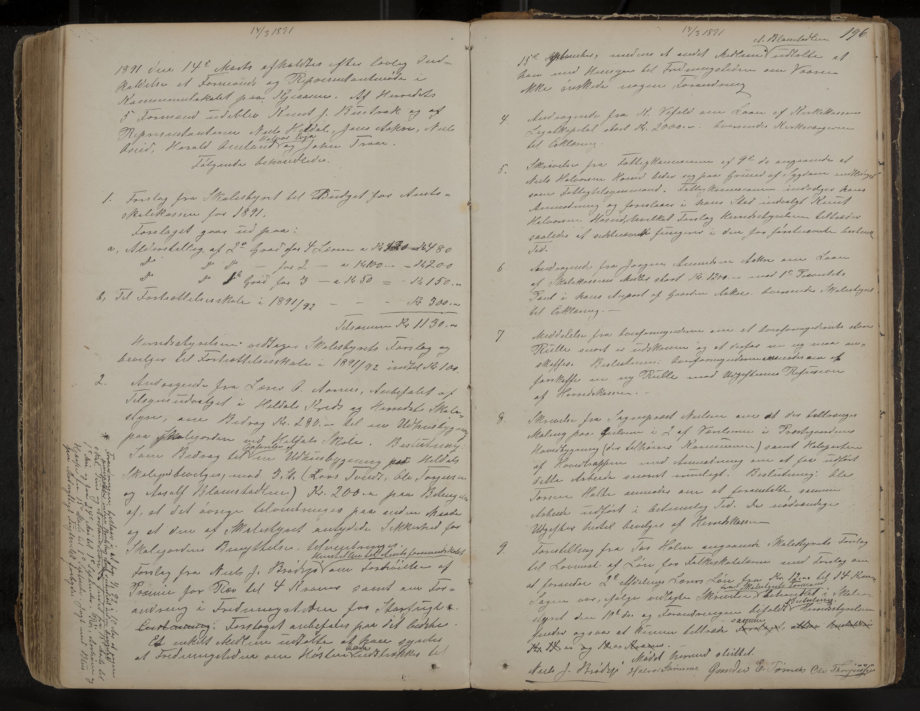 Drangedal formannskap og sentraladministrasjon, IKAK/0817021/A/L0002: Møtebok, 1870-1892, p. 196