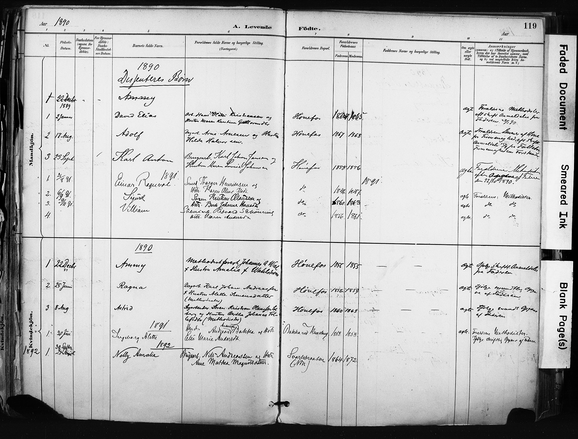 Hønefoss kirkebøker, AV/SAKO-A-609/F/Fa/L0002: Parish register (official) no. 2, 1887-1906, p. 119