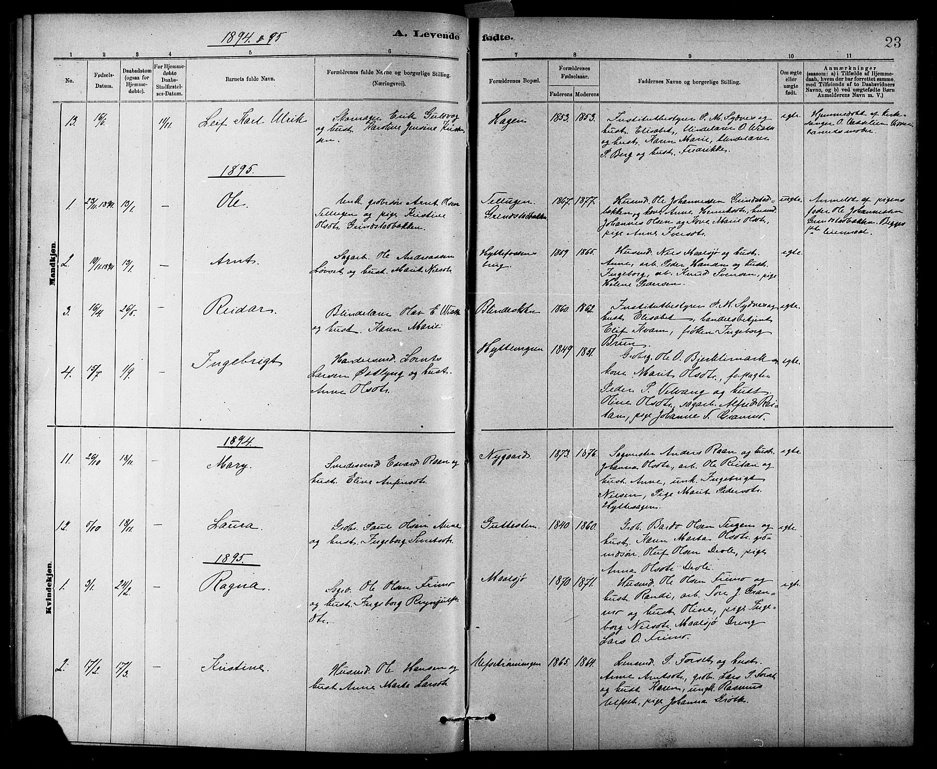 Ministerialprotokoller, klokkerbøker og fødselsregistre - Sør-Trøndelag, AV/SAT-A-1456/618/L0452: Parish register (copy) no. 618C03, 1884-1906, p. 23