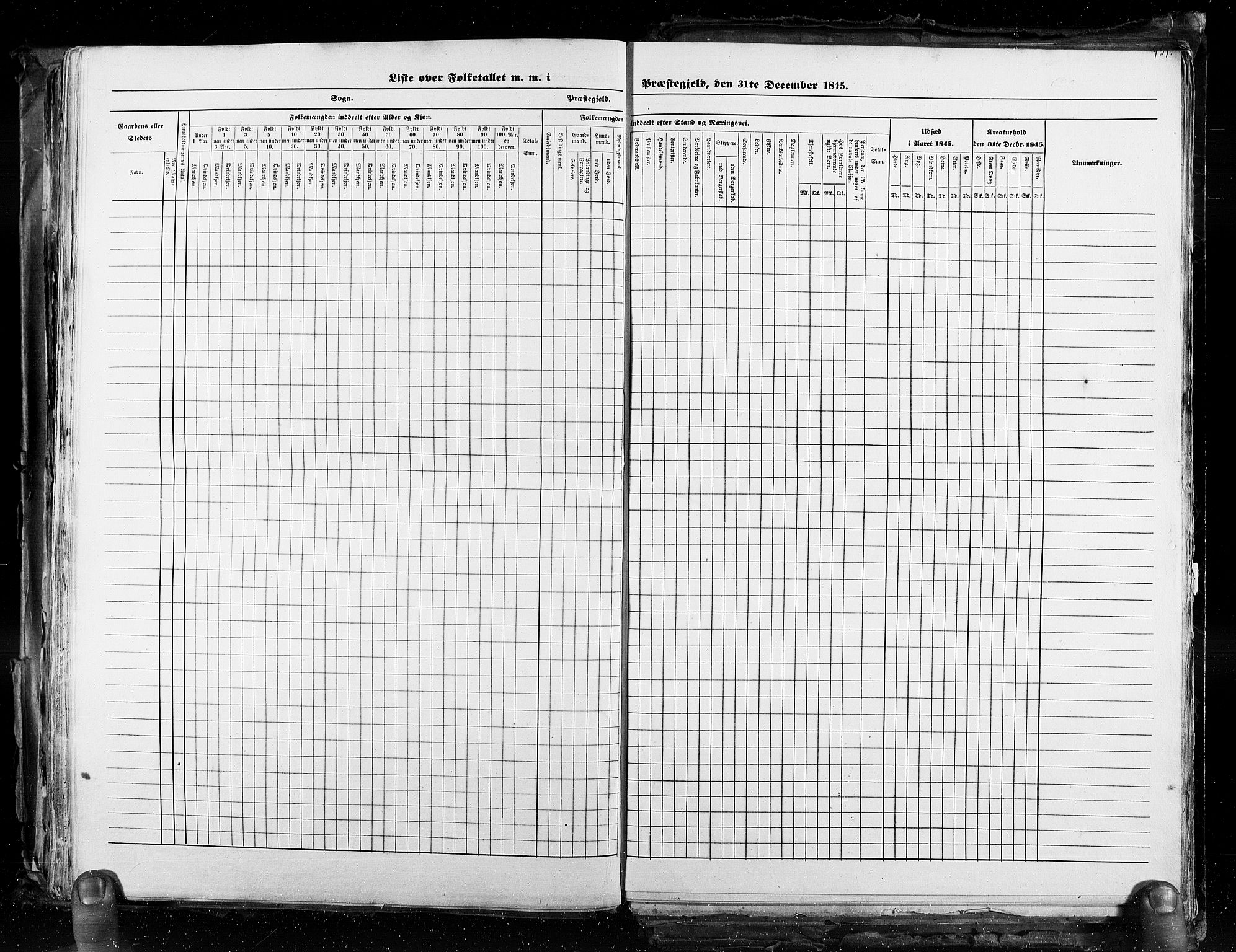 RA, Census 1845, vol. 3: Hedemarken amt og Kristians amt, 1845, p. 451