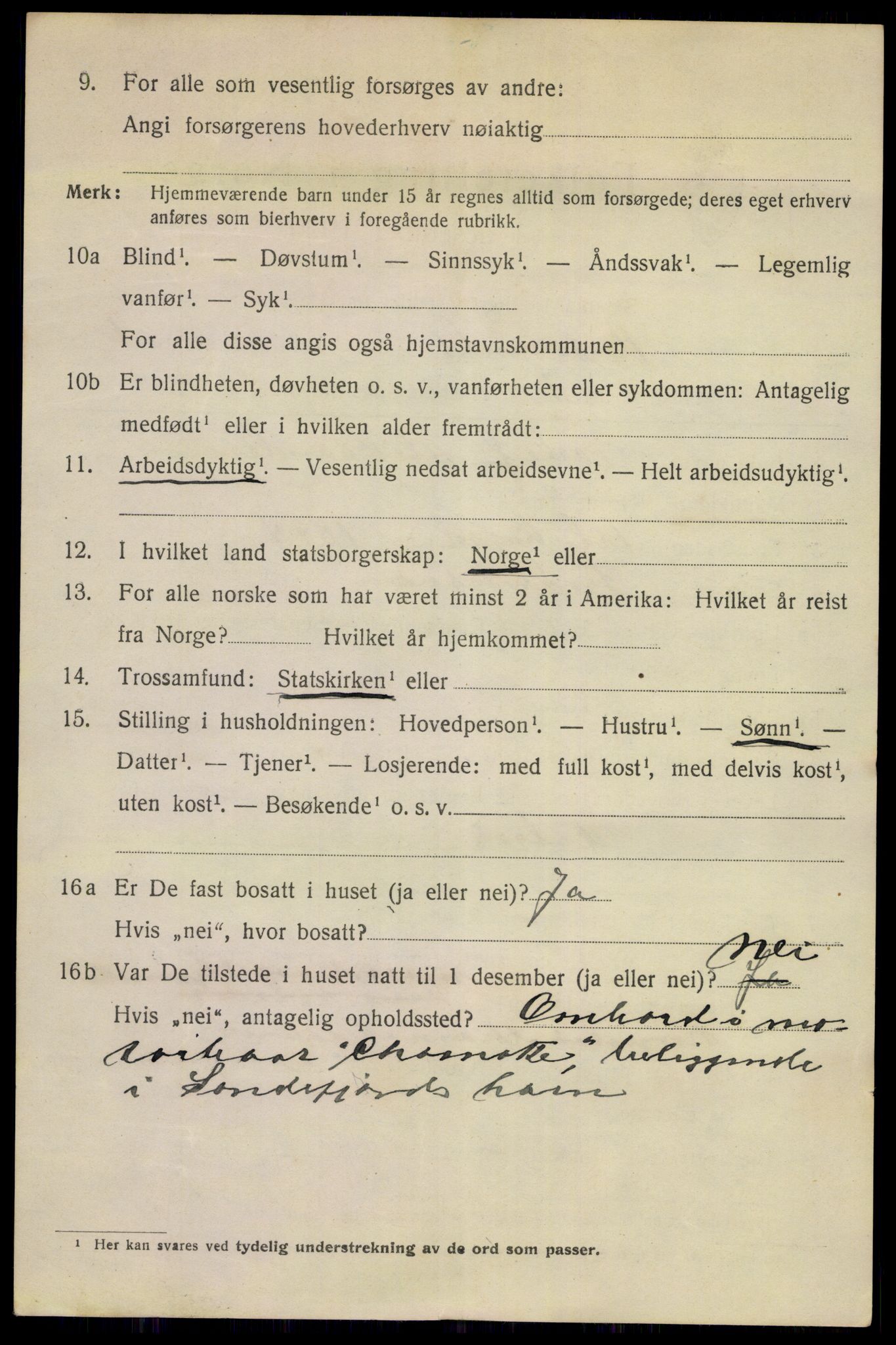 SAKO, 1920 census for Porsgrunn, 1920, p. 7110