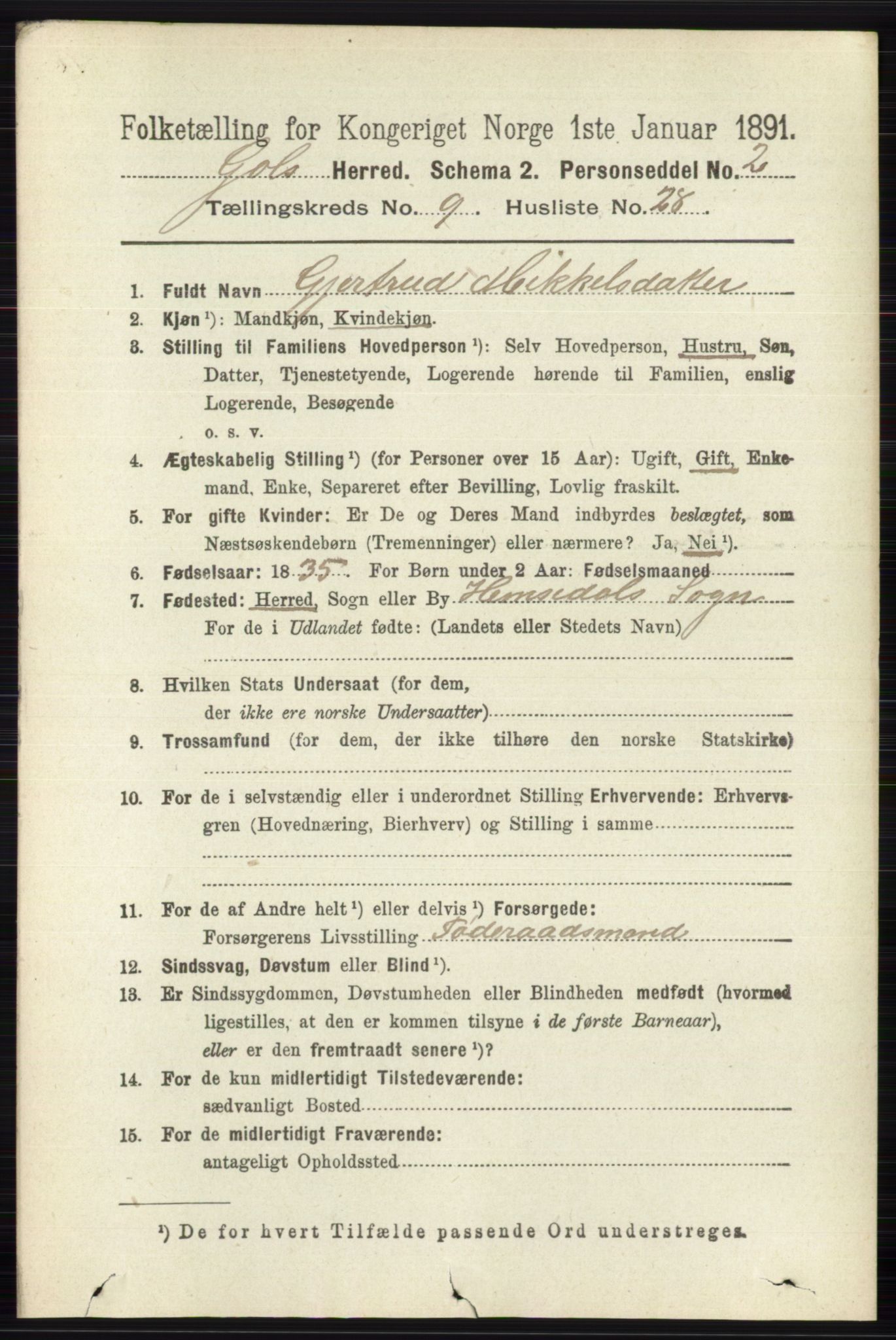 RA, 1891 census for 0617 Gol og Hemsedal, 1891, p. 3560