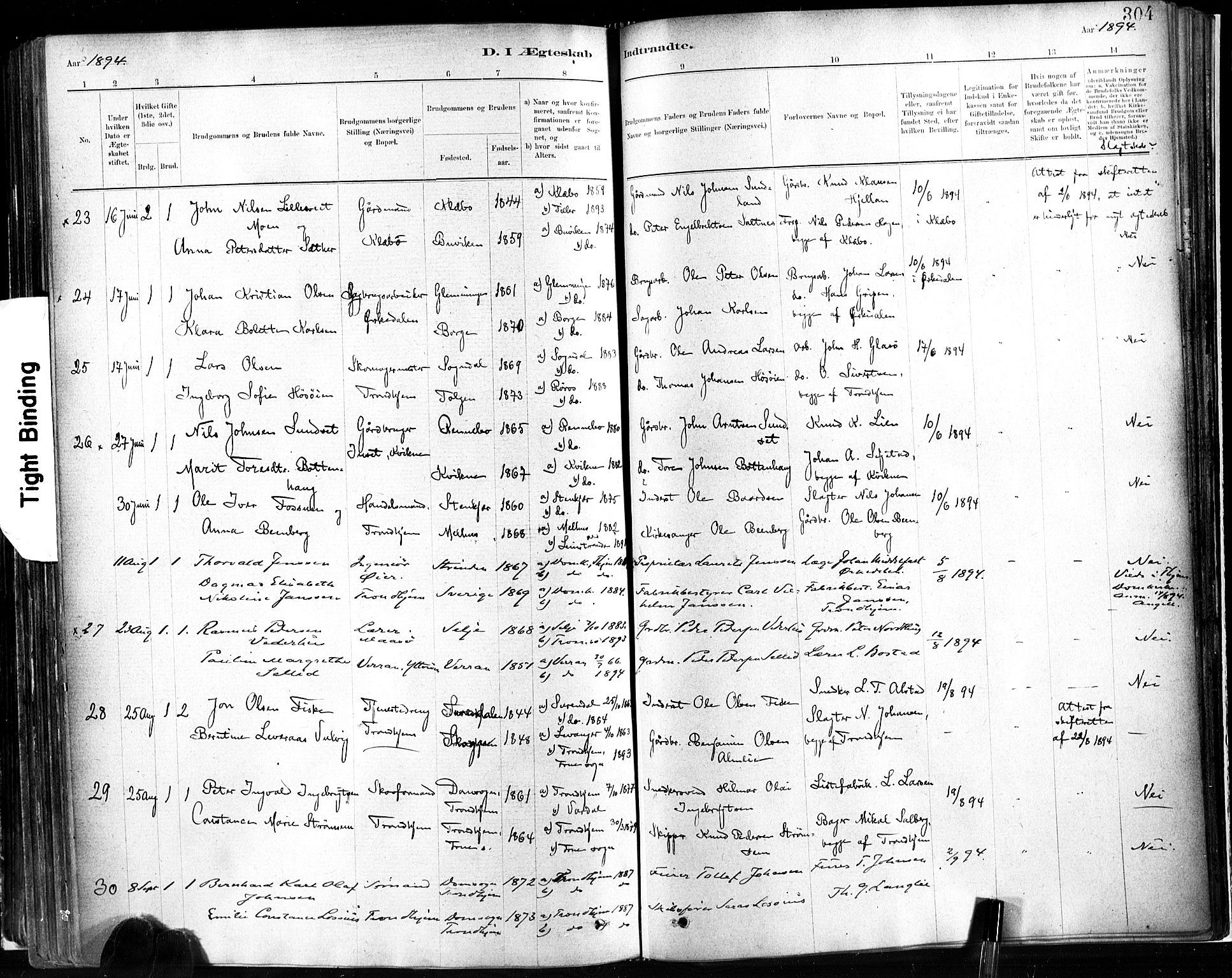 Ministerialprotokoller, klokkerbøker og fødselsregistre - Sør-Trøndelag, AV/SAT-A-1456/602/L0119: Parish register (official) no. 602A17, 1880-1901, p. 304