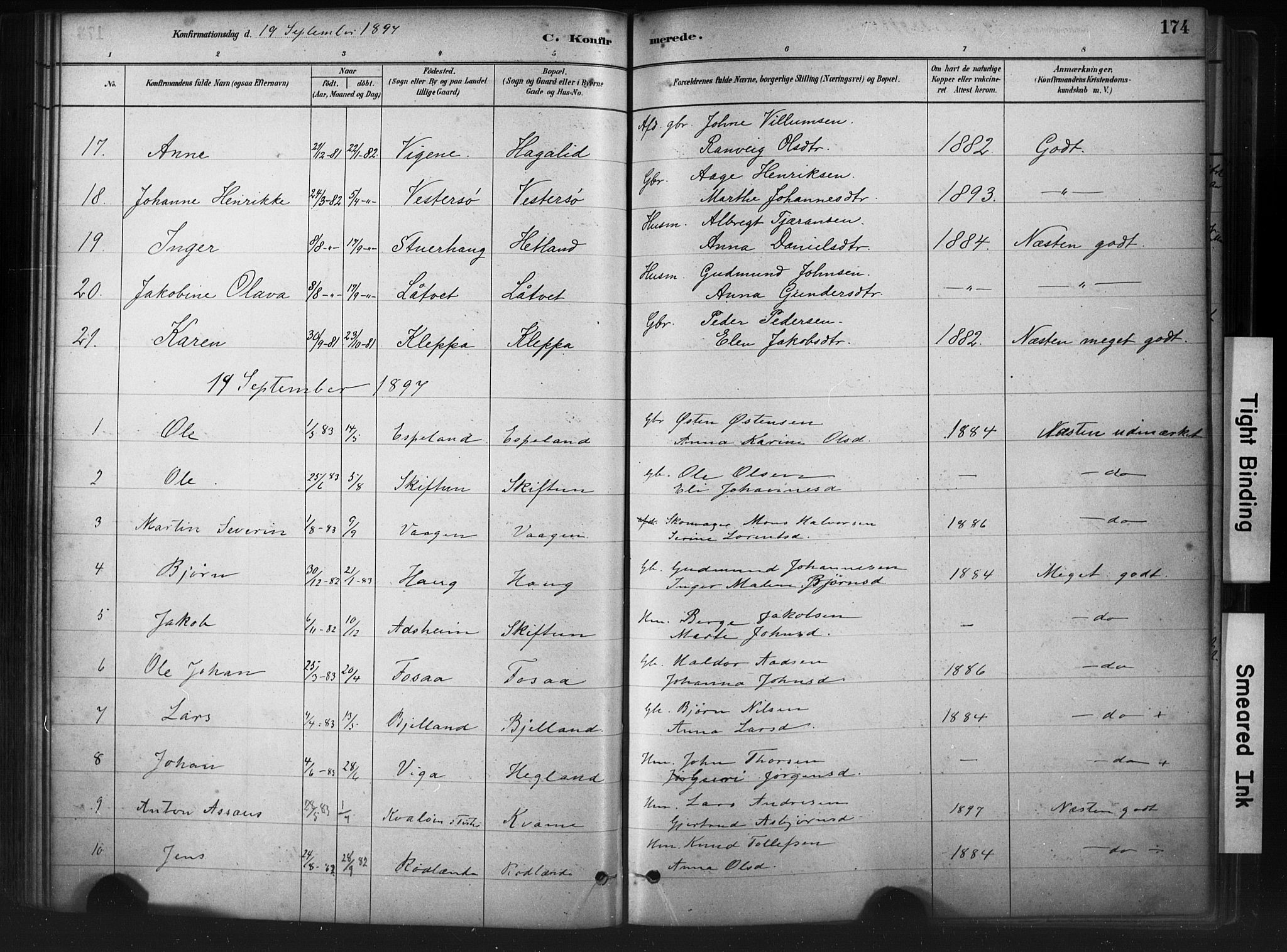 Hjelmeland sokneprestkontor, AV/SAST-A-101843/01/IV/L0014: Parish register (official) no. A 14, 1879-1900, p. 174