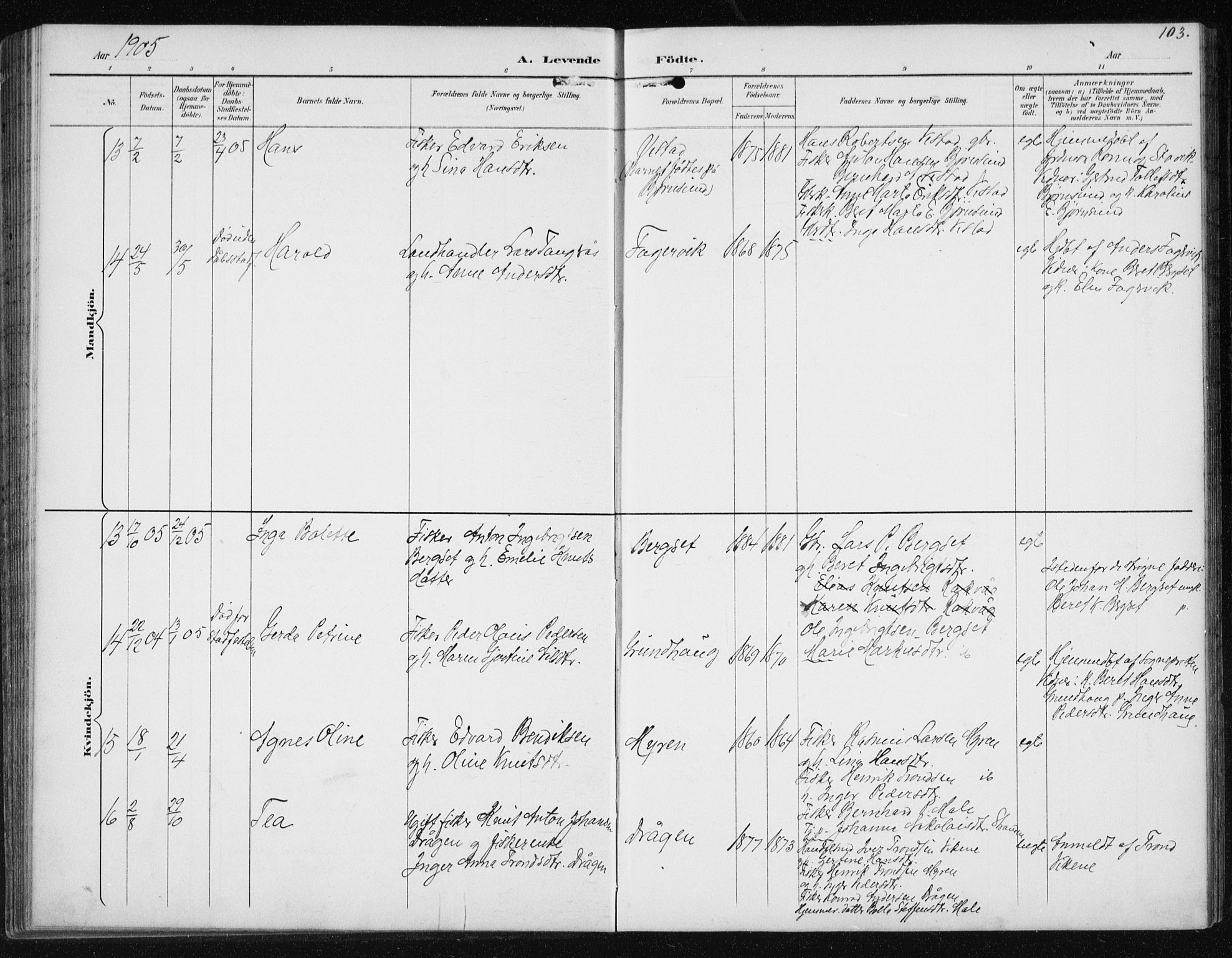 Ministerialprotokoller, klokkerbøker og fødselsregistre - Møre og Romsdal, AV/SAT-A-1454/566/L0773: Parish register (copy) no. 566C02, 1892-1909, p. 103