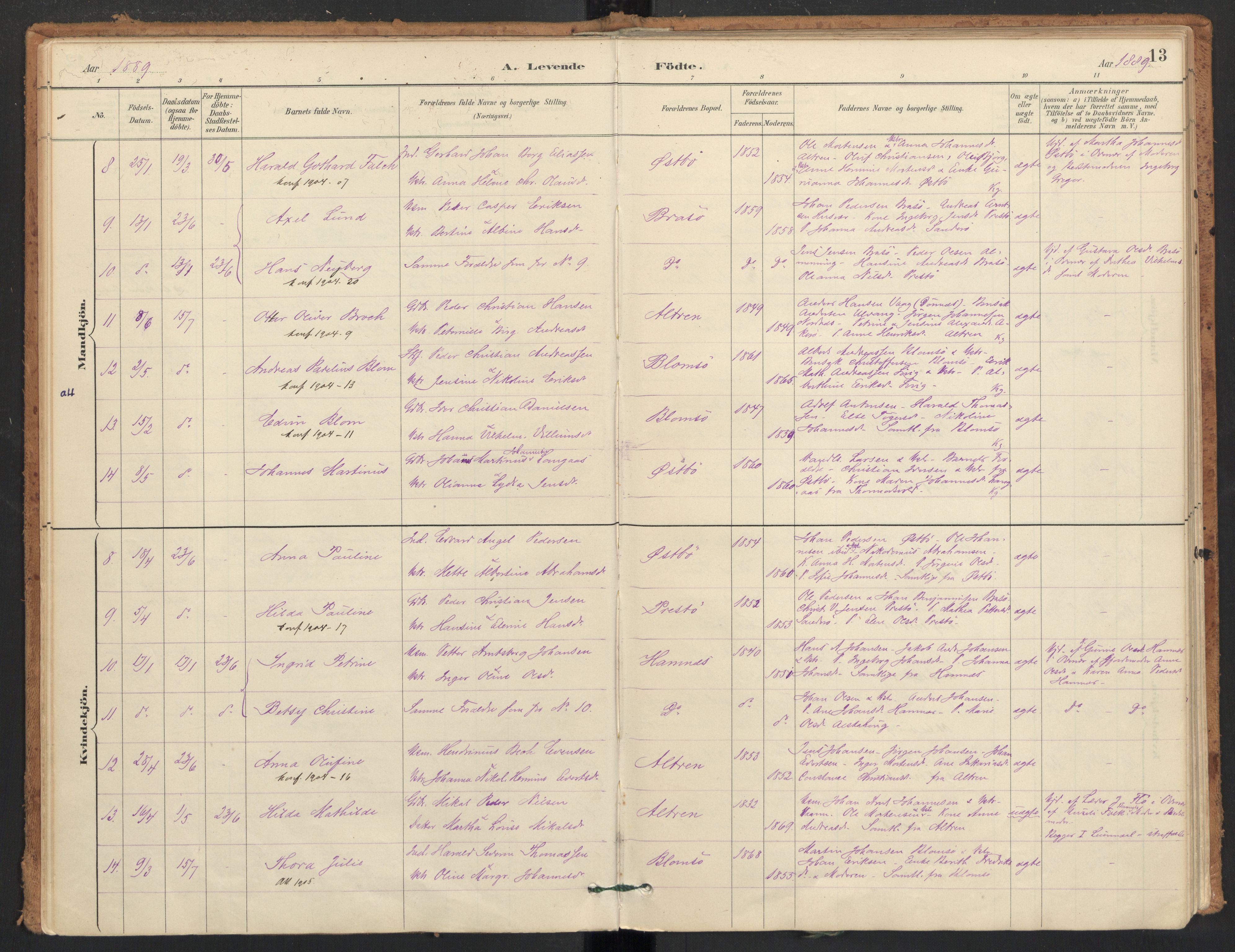 Ministerialprotokoller, klokkerbøker og fødselsregistre - Nordland, AV/SAT-A-1459/830/L0453: Parish register (official) no. 830A17, 1886-1911, p. 13