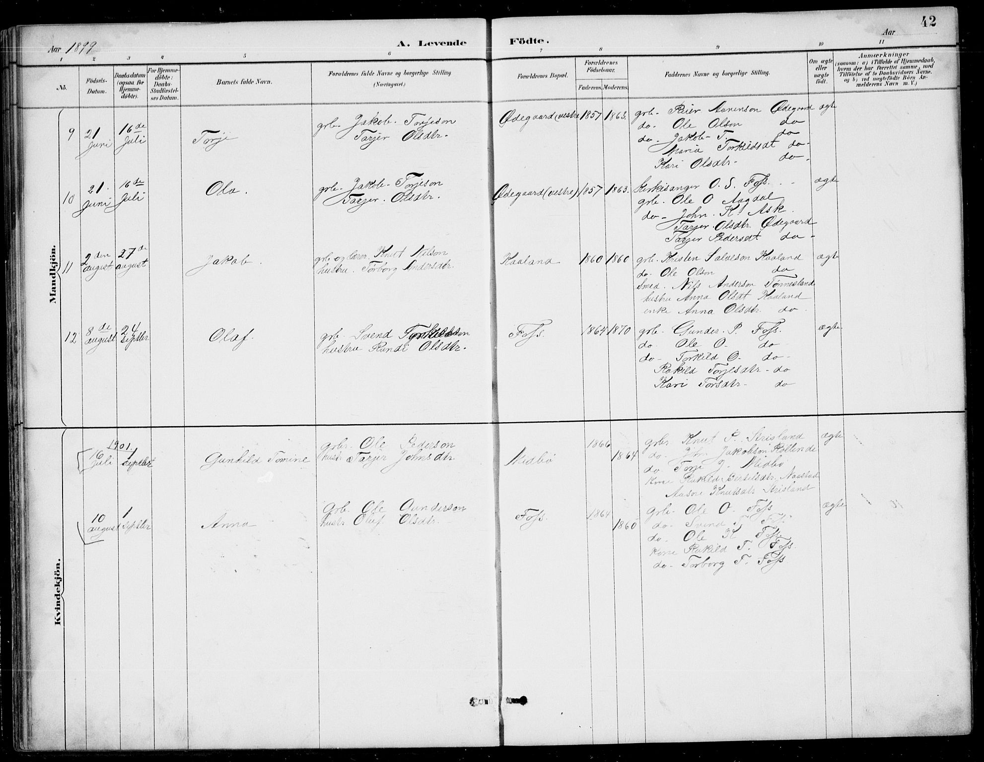 Bjelland sokneprestkontor, AV/SAK-1111-0005/F/Fb/Fba/L0005: Parish register (copy) no. B 5, 1887-1923, p. 42