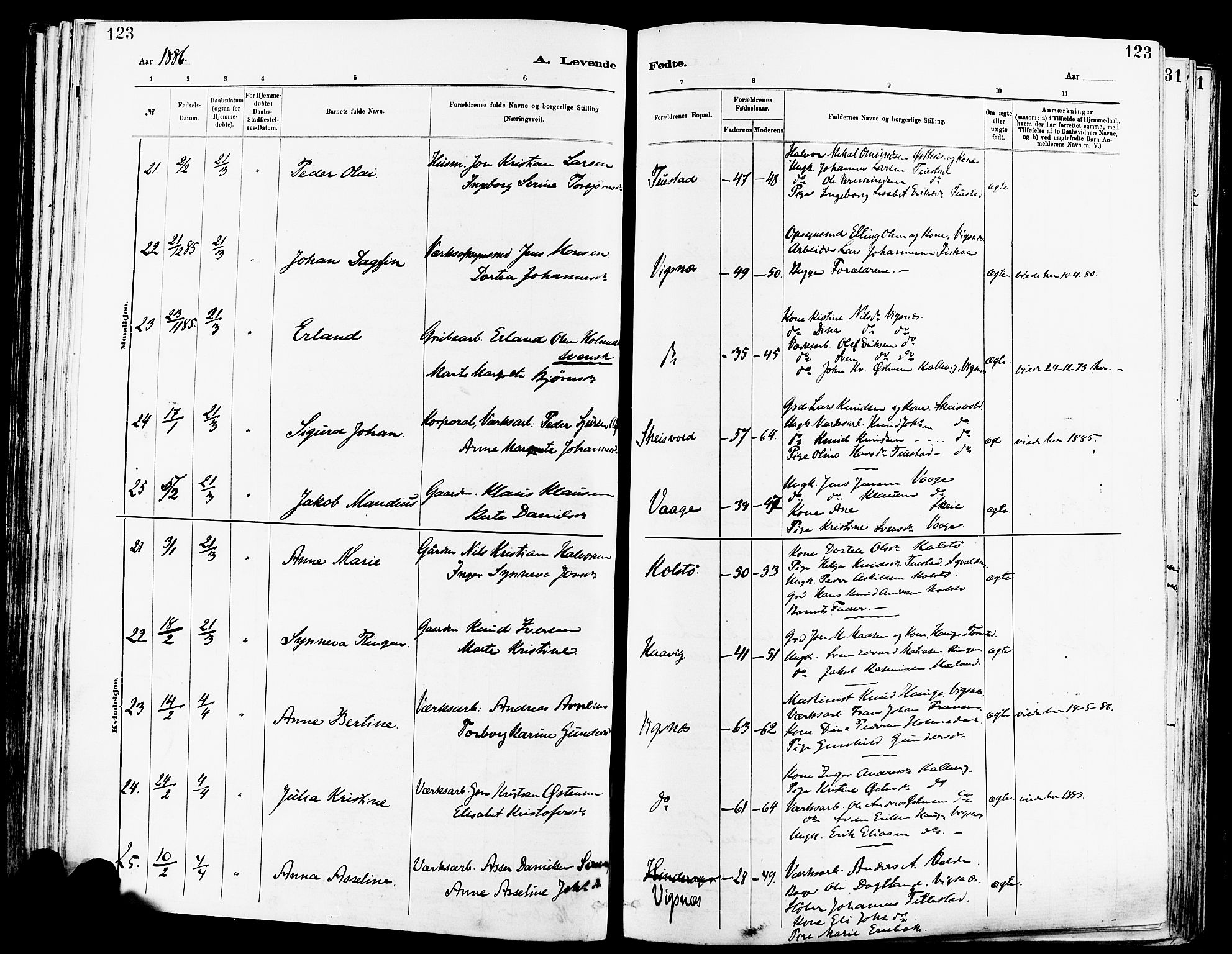 Avaldsnes sokneprestkontor, AV/SAST-A -101851/H/Ha/Haa/L0014: Parish register (official) no. A 14, 1880-1889, p. 123