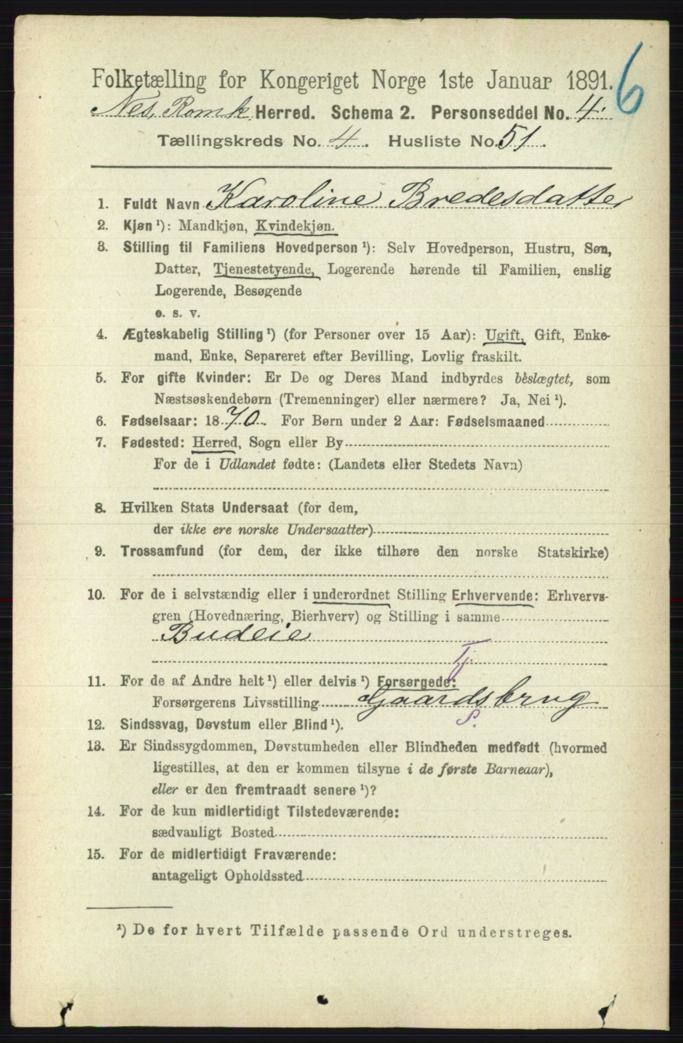 RA, 1891 census for 0236 Nes, 1891, p. 2549