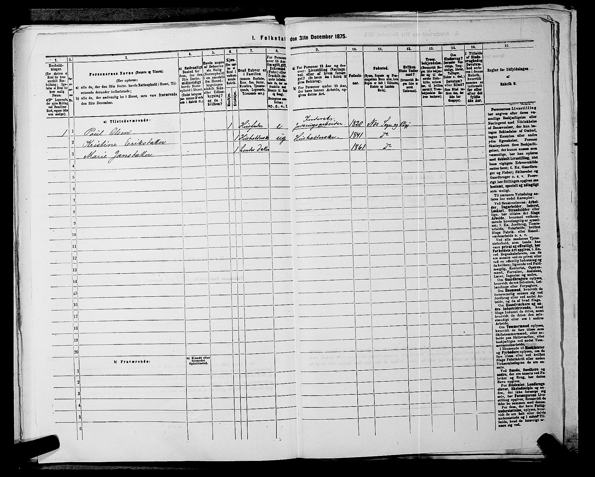 RA, 1875 census for 0236P Nes, 1875, p. 2028