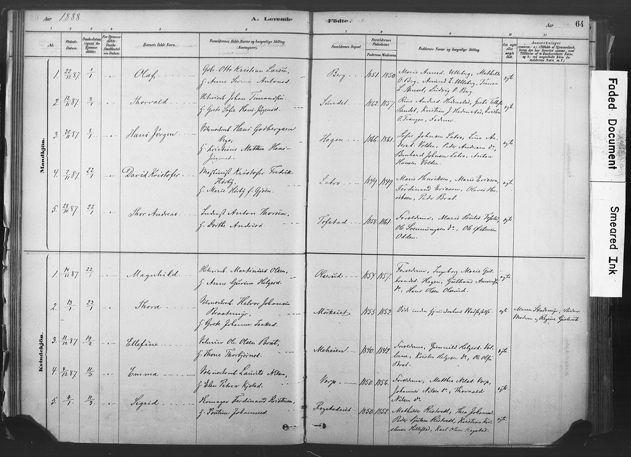 Sandsvær kirkebøker, AV/SAKO-A-244/F/Fd/L0001: Parish register (official) no. IV 1, 1878-1906, p. 64