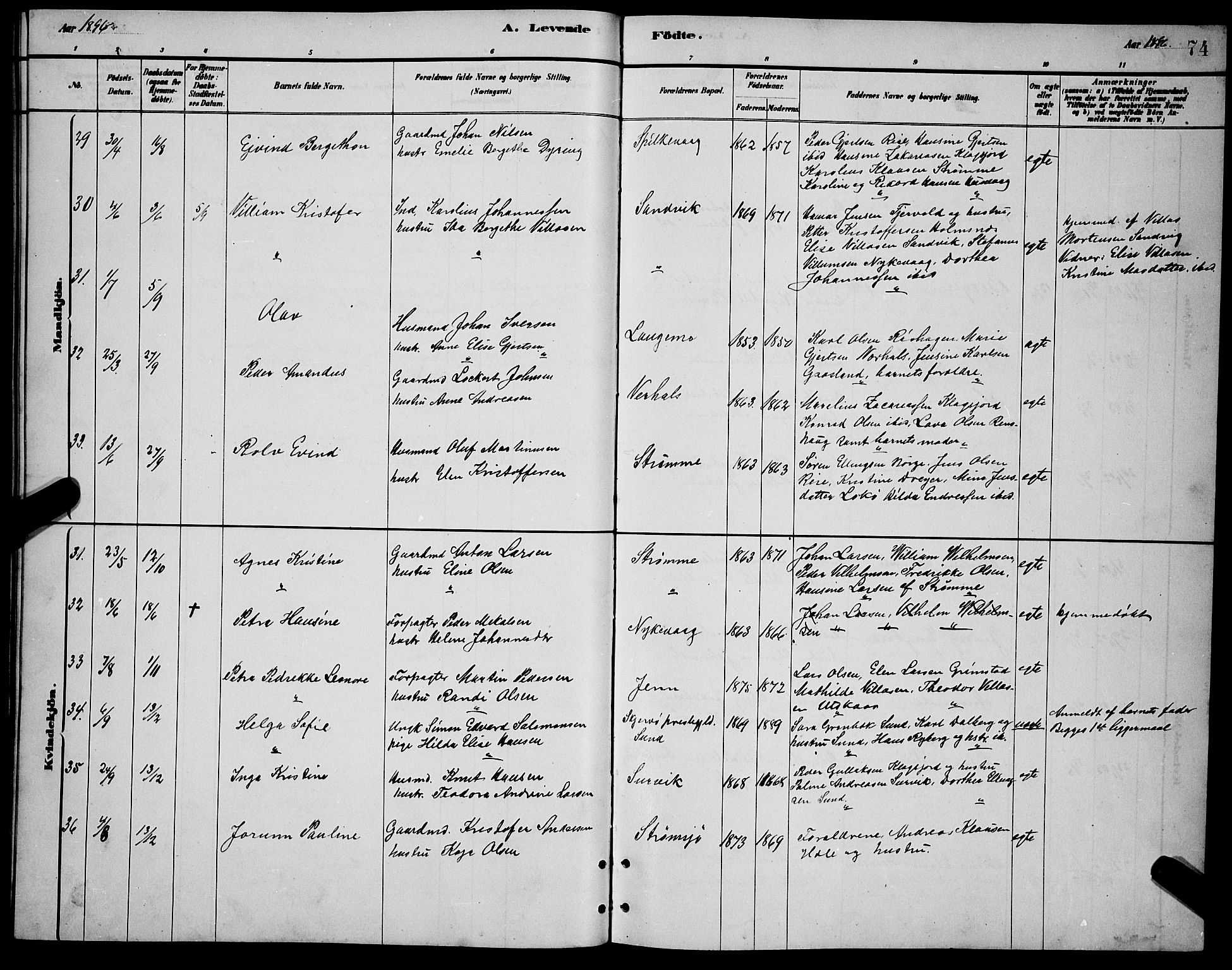 Ministerialprotokoller, klokkerbøker og fødselsregistre - Nordland, AV/SAT-A-1459/892/L1325: Parish register (copy) no. 892C02, 1878-1896, p. 74