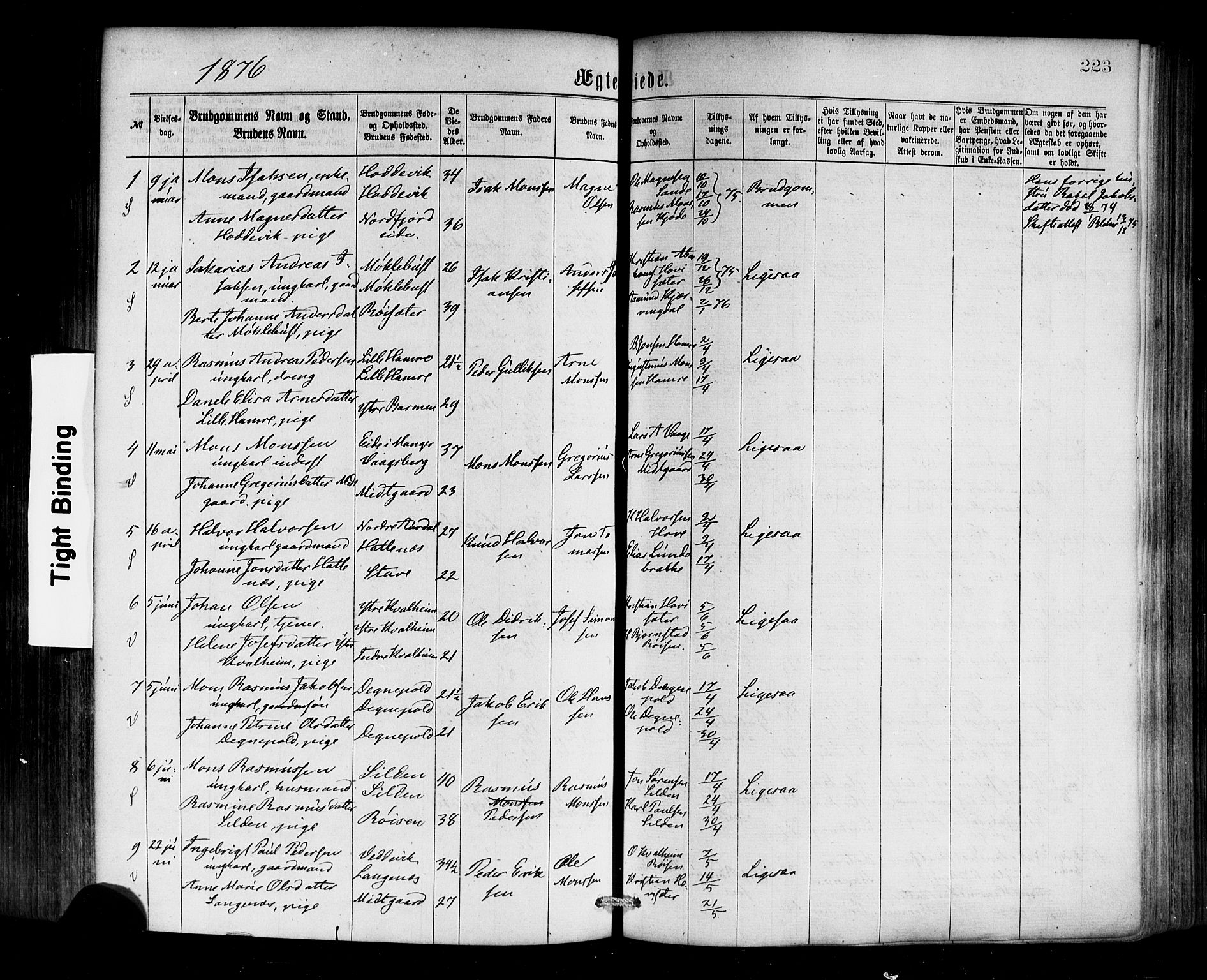 Selje sokneprestembete, SAB/A-99938/H/Ha/Haa/Haaa: Parish register (official) no. A 12, 1870-1880, p. 223