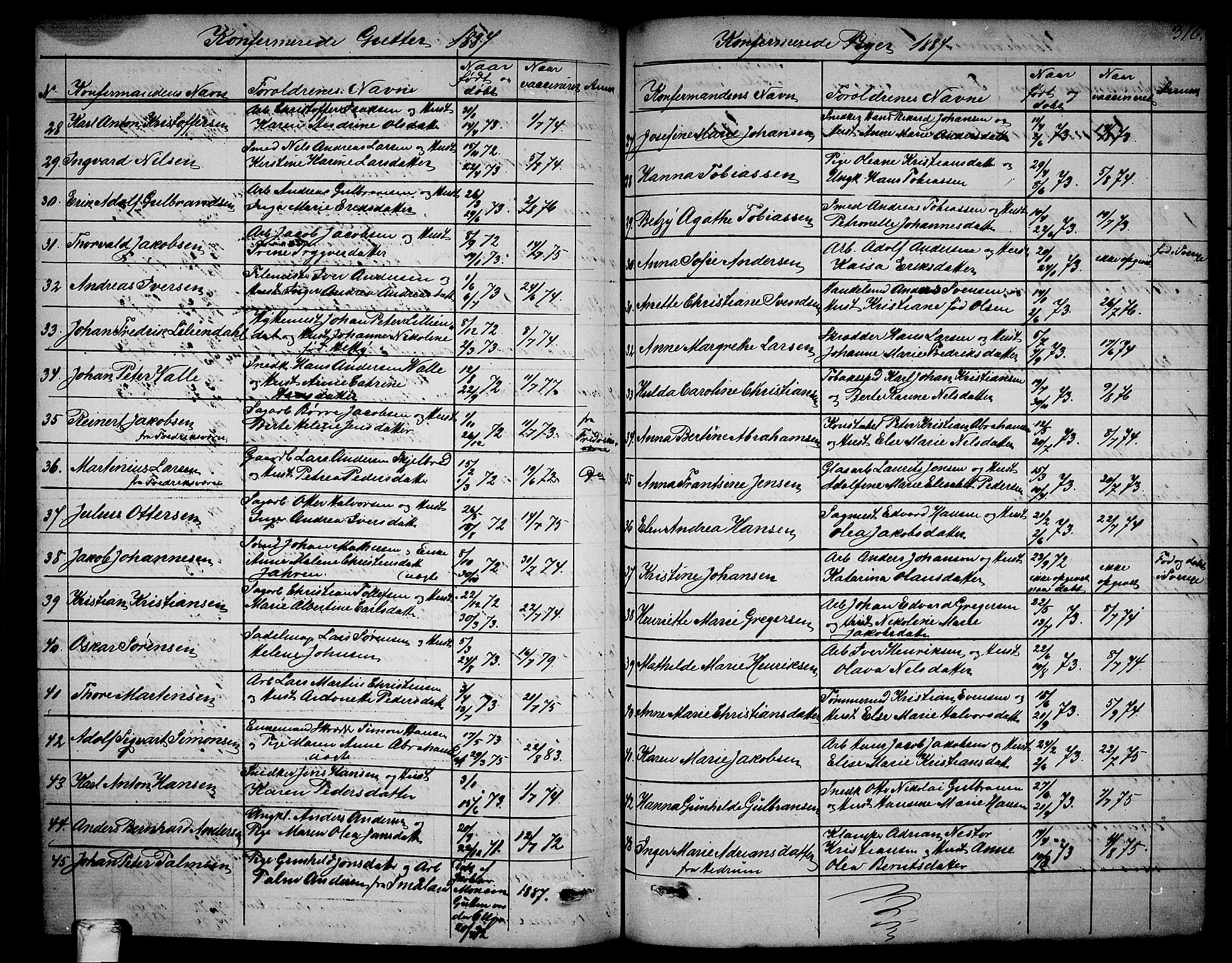 Larvik kirkebøker, SAKO/A-352/G/Ga/L0004: Parish register (copy) no. I 4, 1871-1888, p. 316