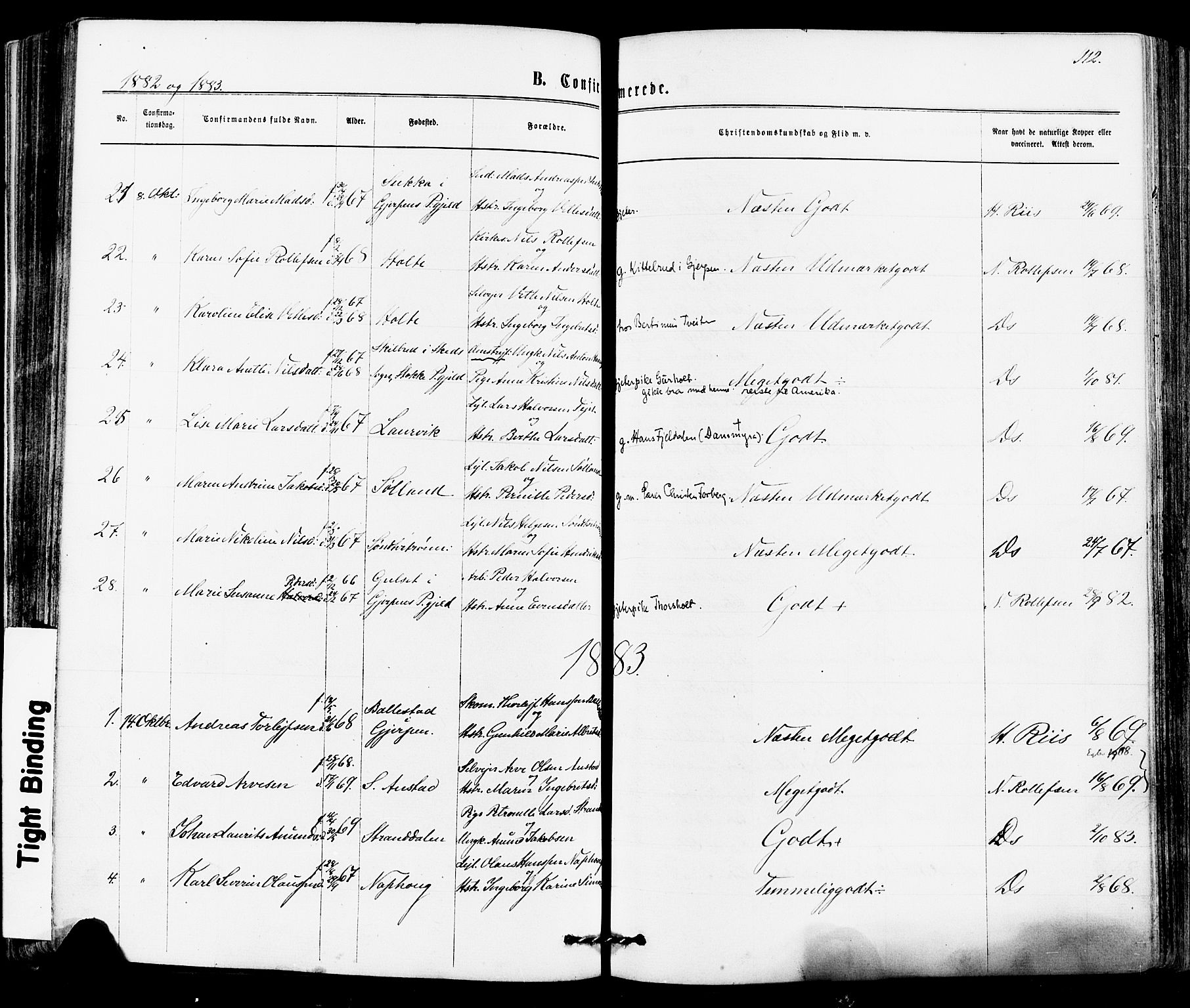 Siljan kirkebøker, AV/SAKO-A-300/F/Fa/L0002: Parish register (official) no. 2, 1870-1895, p. 112