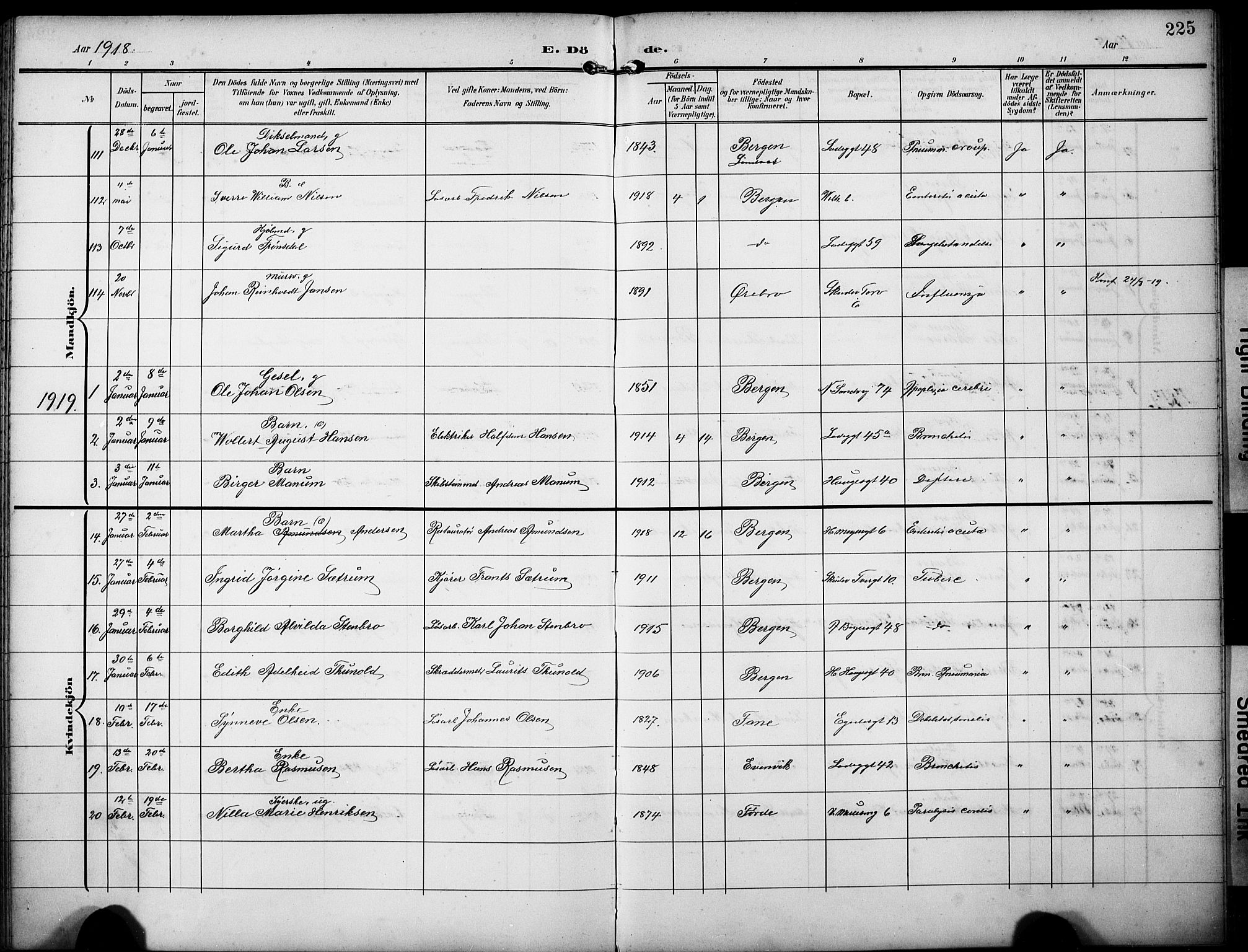 Sandviken Sokneprestembete, AV/SAB-A-77601/H/Hb/L0017: Parish register (copy) no. E 1, 1903-1926, p. 225