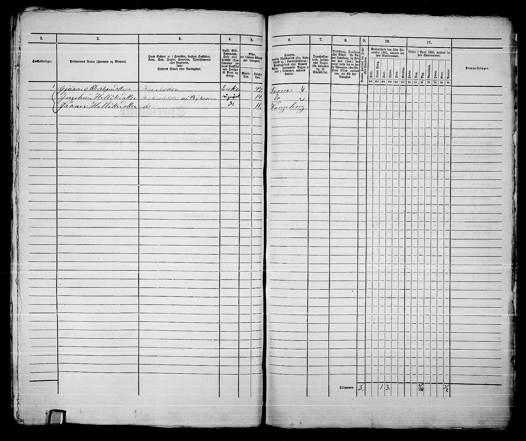 RA, 1865 census for Kongsberg/Kongsberg, 1865, p. 1509