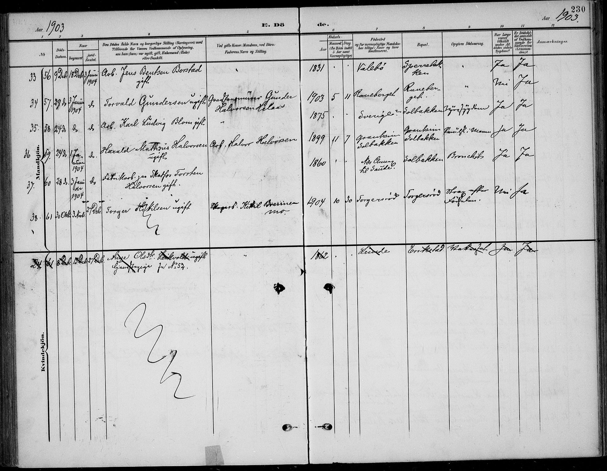 Solum kirkebøker, AV/SAKO-A-306/F/Fb/L0003: Parish register (official) no. II 3, 1901-1912, p. 230