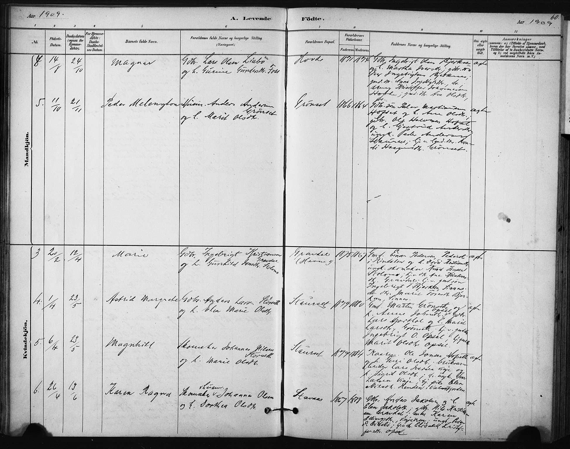 Ministerialprotokoller, klokkerbøker og fødselsregistre - Sør-Trøndelag, SAT/A-1456/631/L0512: Parish register (official) no. 631A01, 1879-1912, p. 60